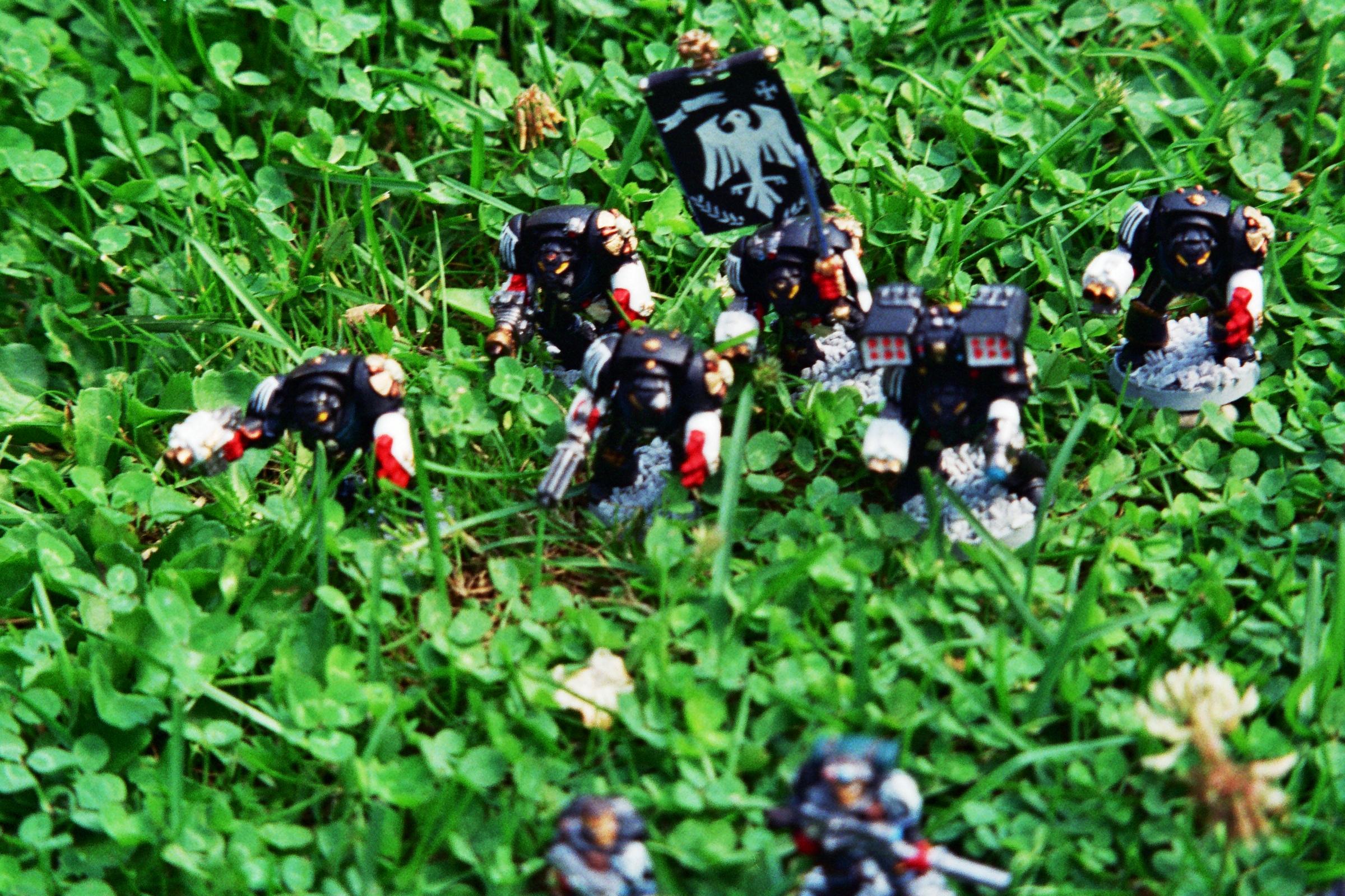 Raven Guard termies