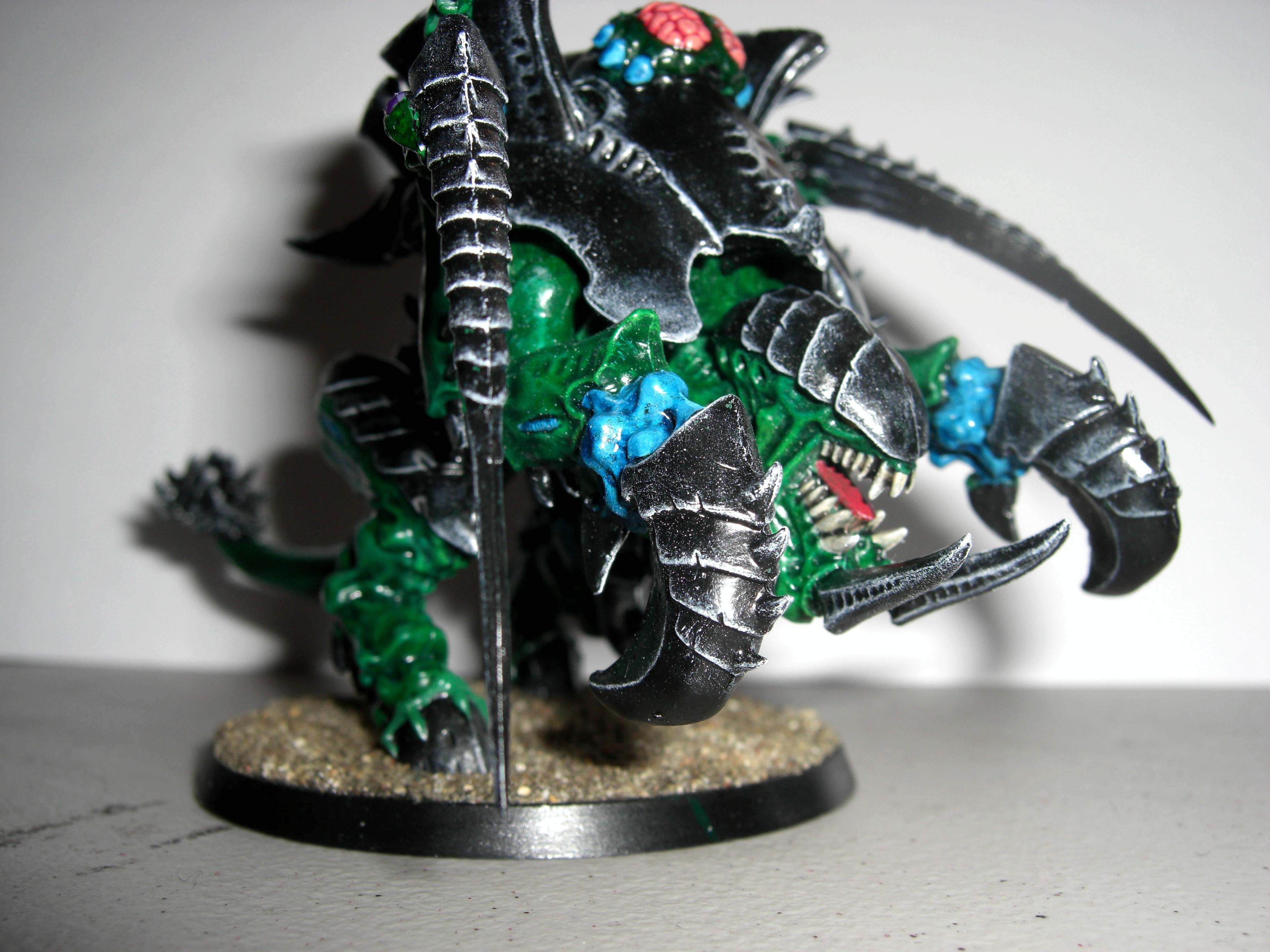 Carnifex Front