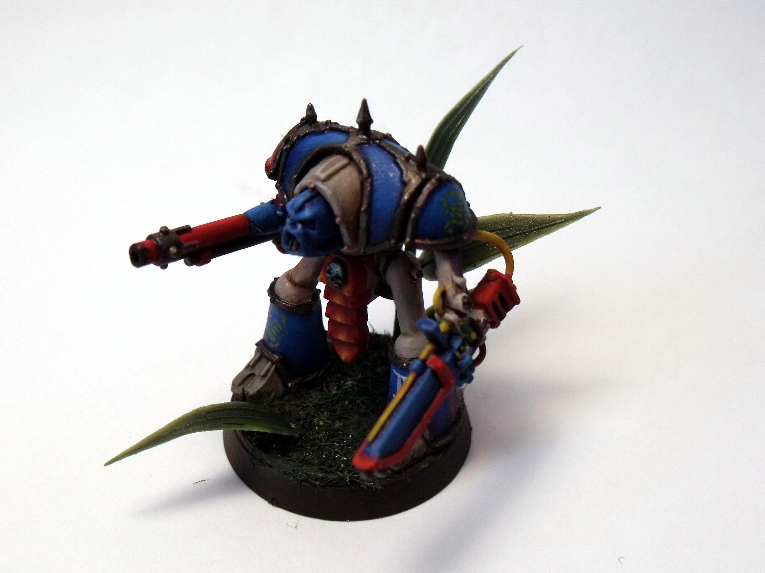 Epic, Knights, Paladin