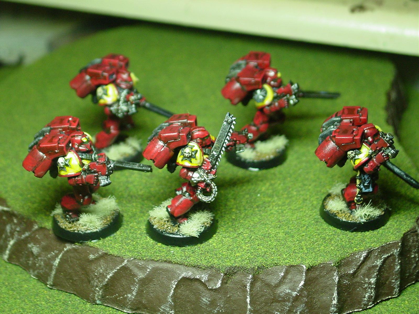 assault marines, black templars
