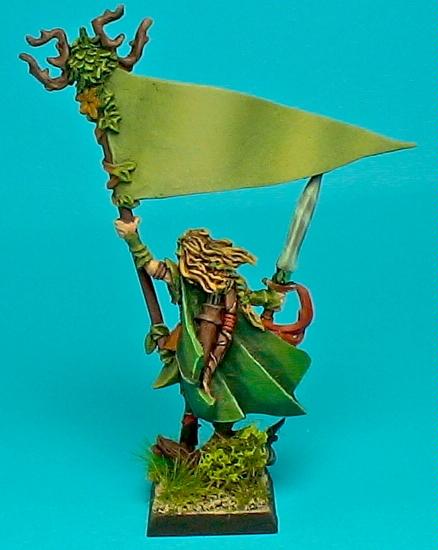Standard Bearer of the Athel Loren 