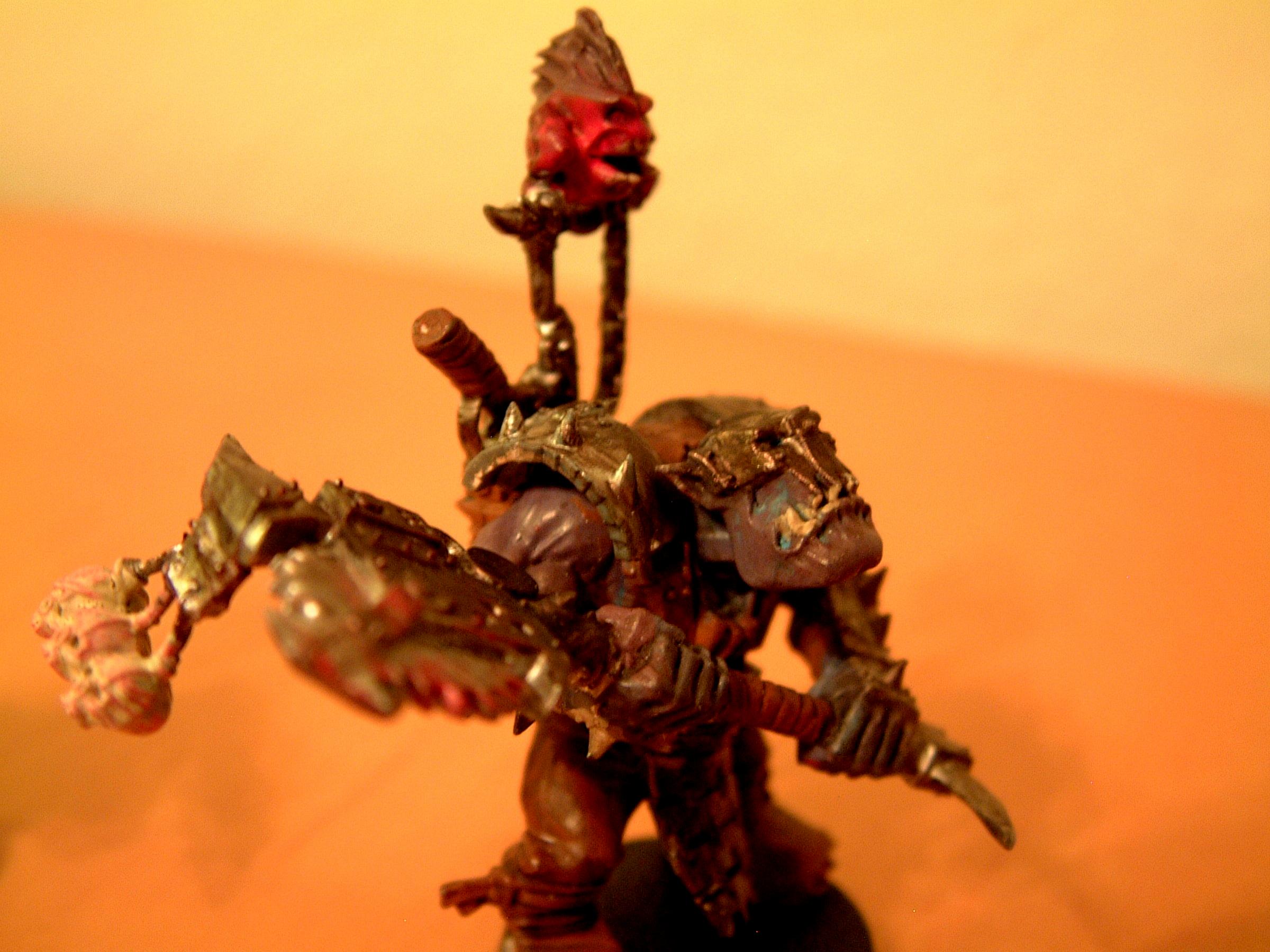 Nob / Weirdboy