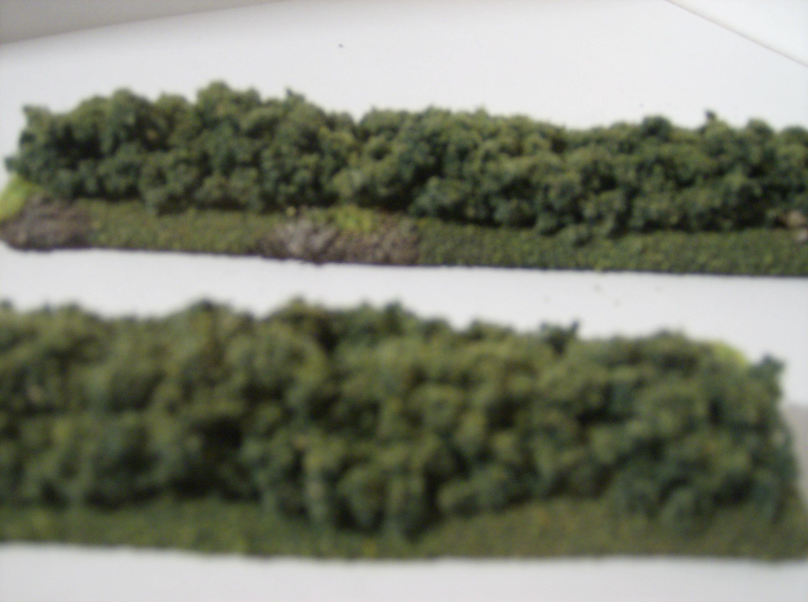 Warhammer Terrain - Hedge Row