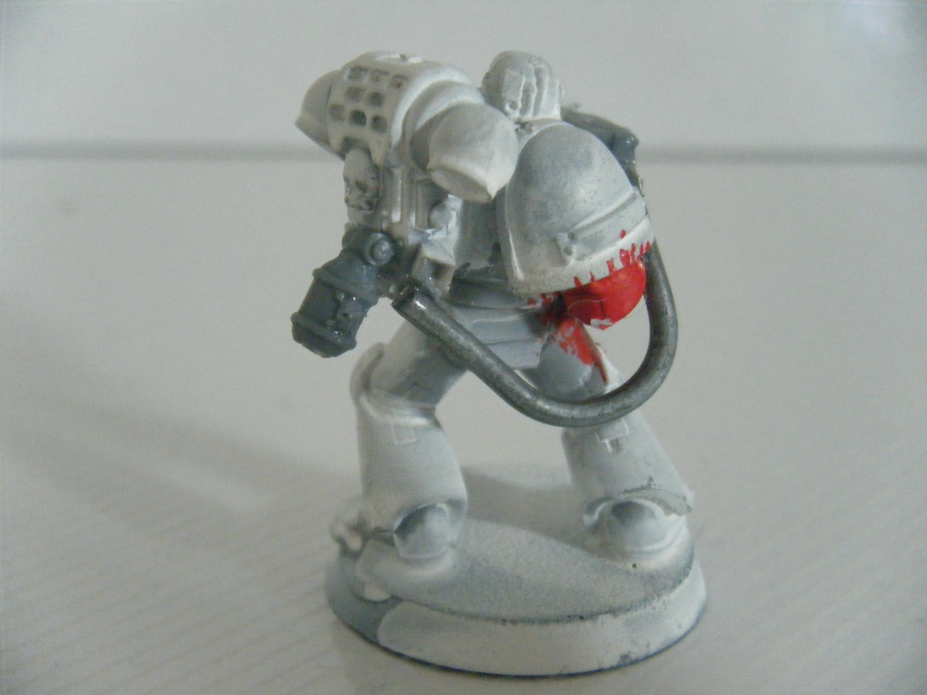 Salamander, Sternguard