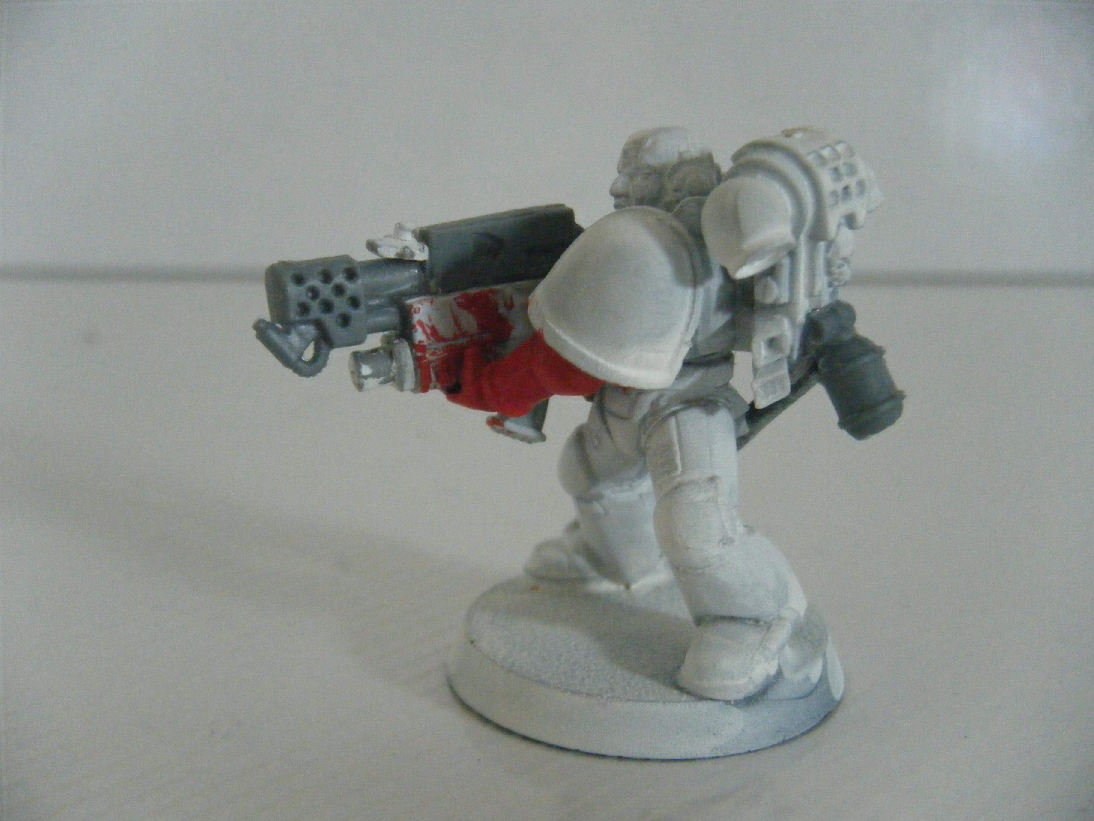 Salamander, Sternguard