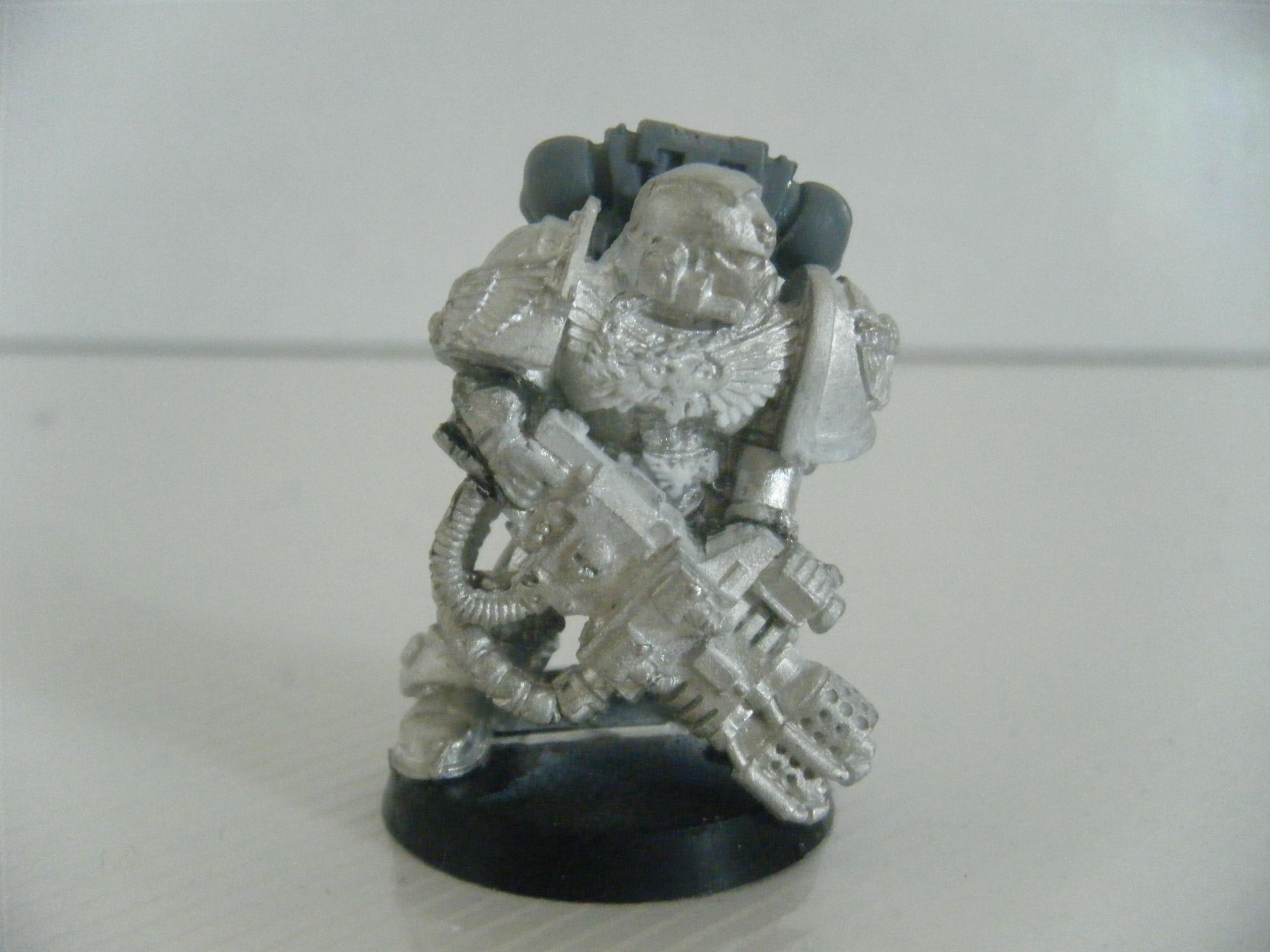 Salamander, Sternguard
