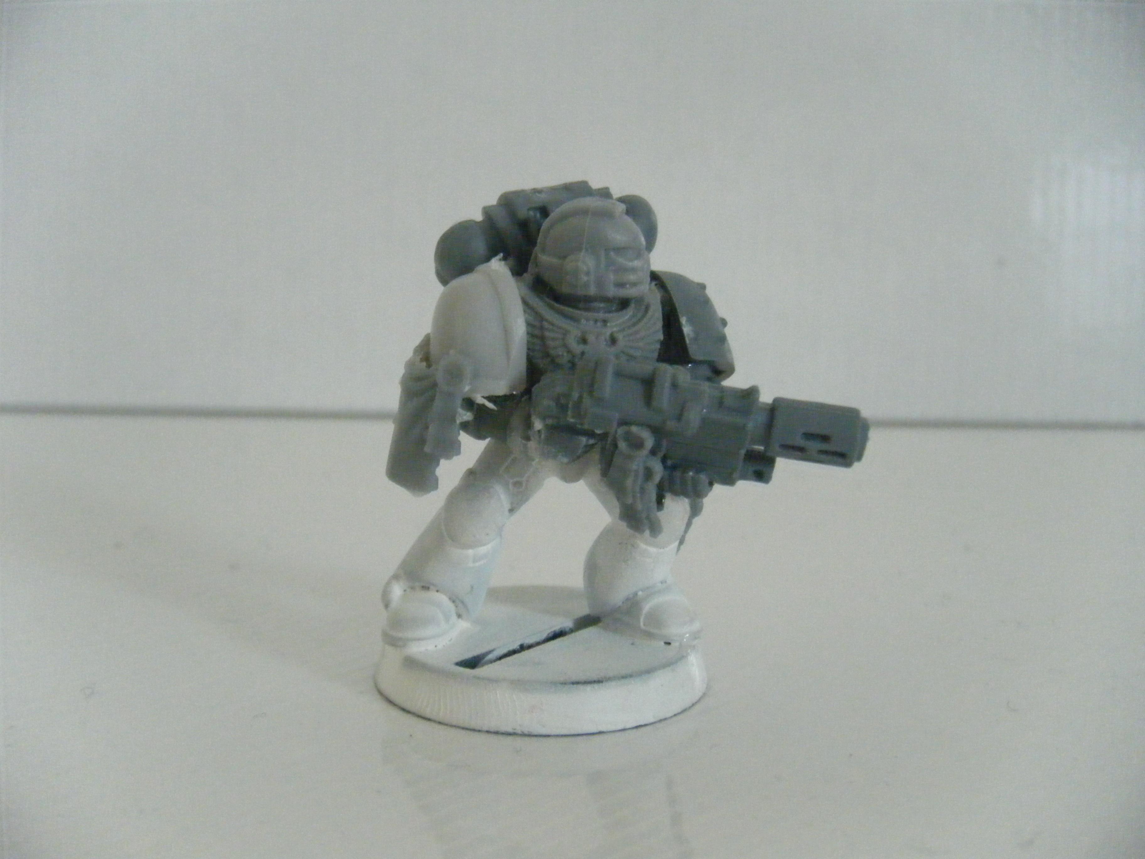 Salamander, Sternguard