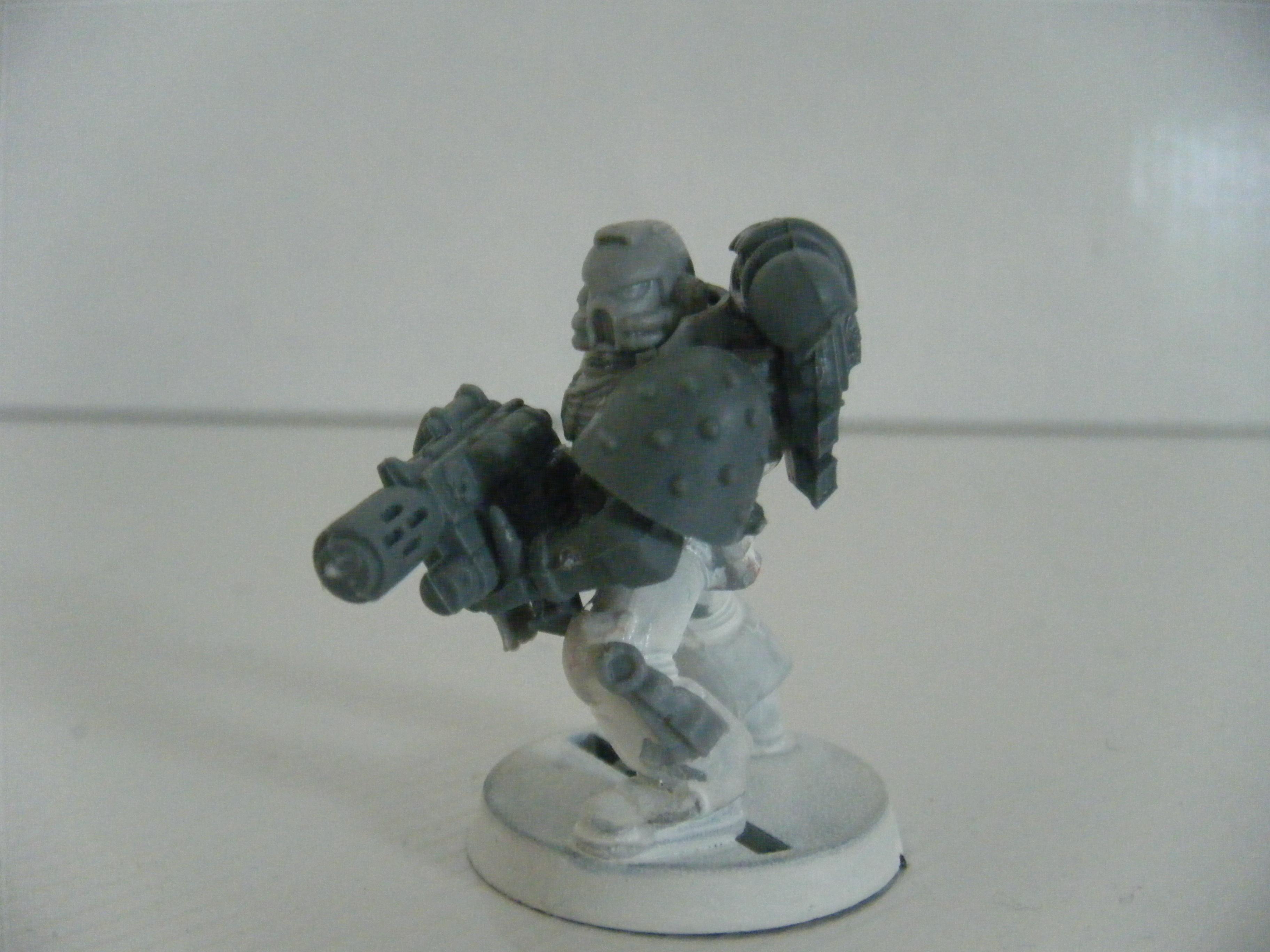 Salamander, Sternguard