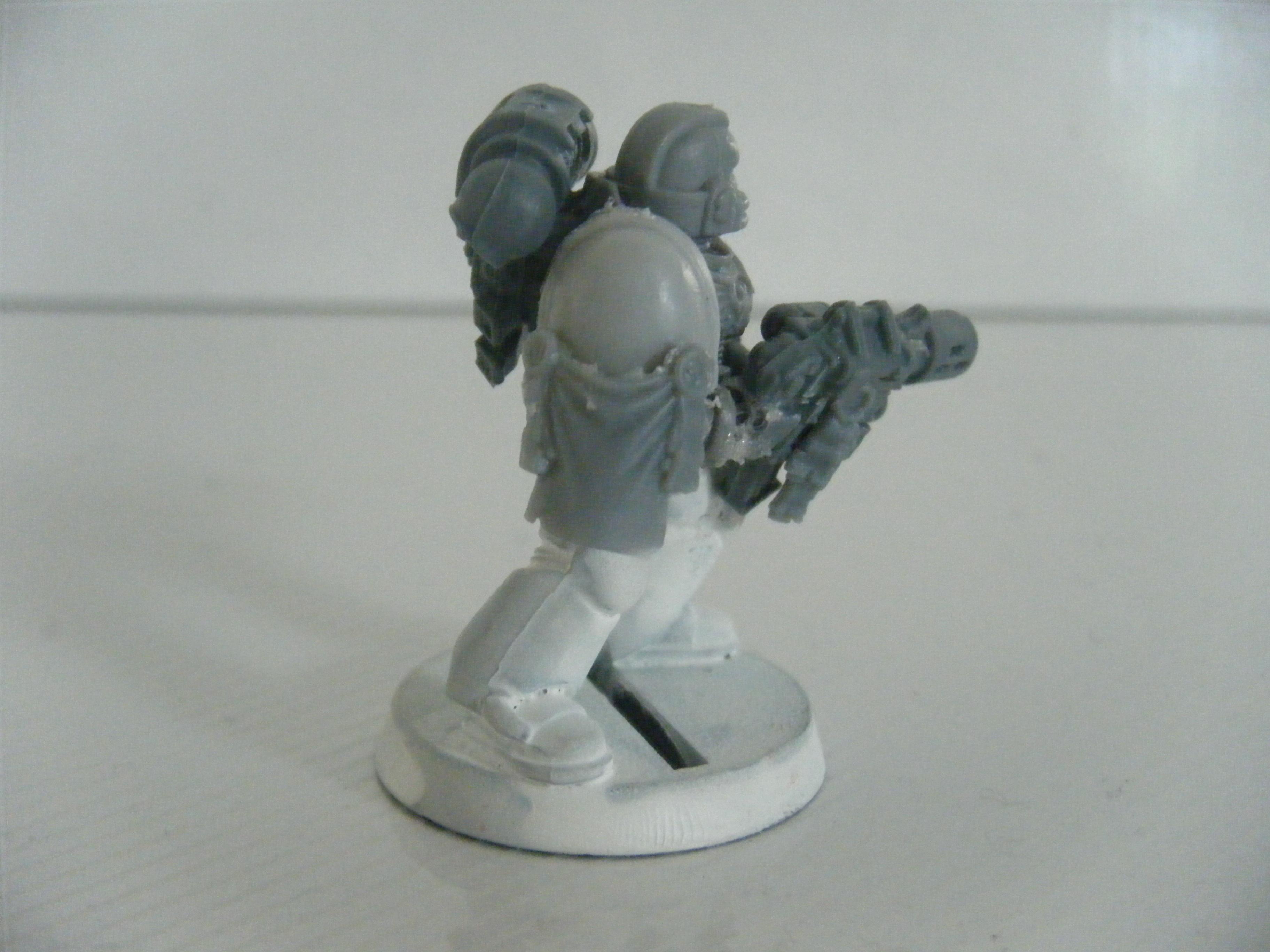 Salamander, Sternguard