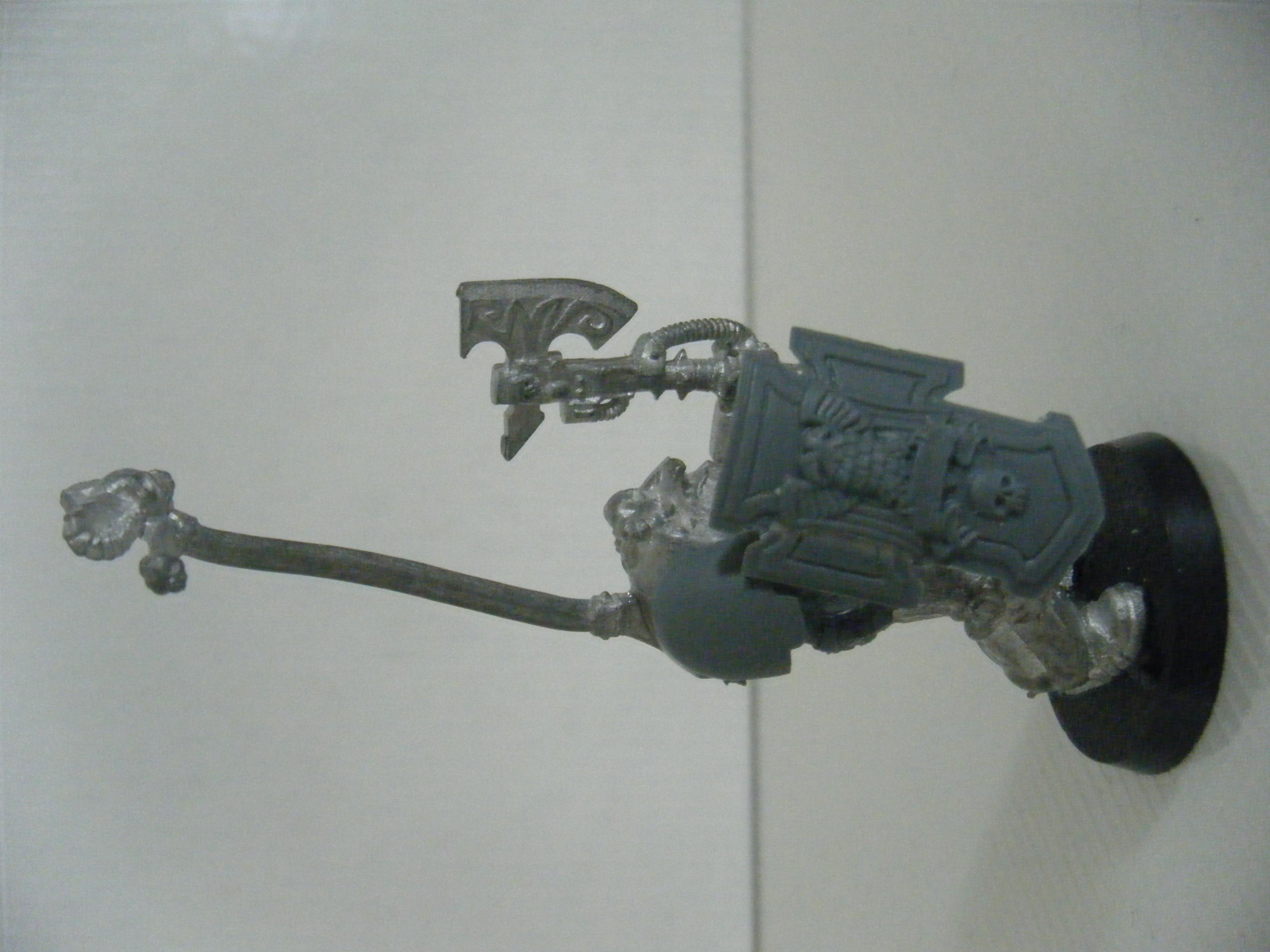 Salamander, Sternguard