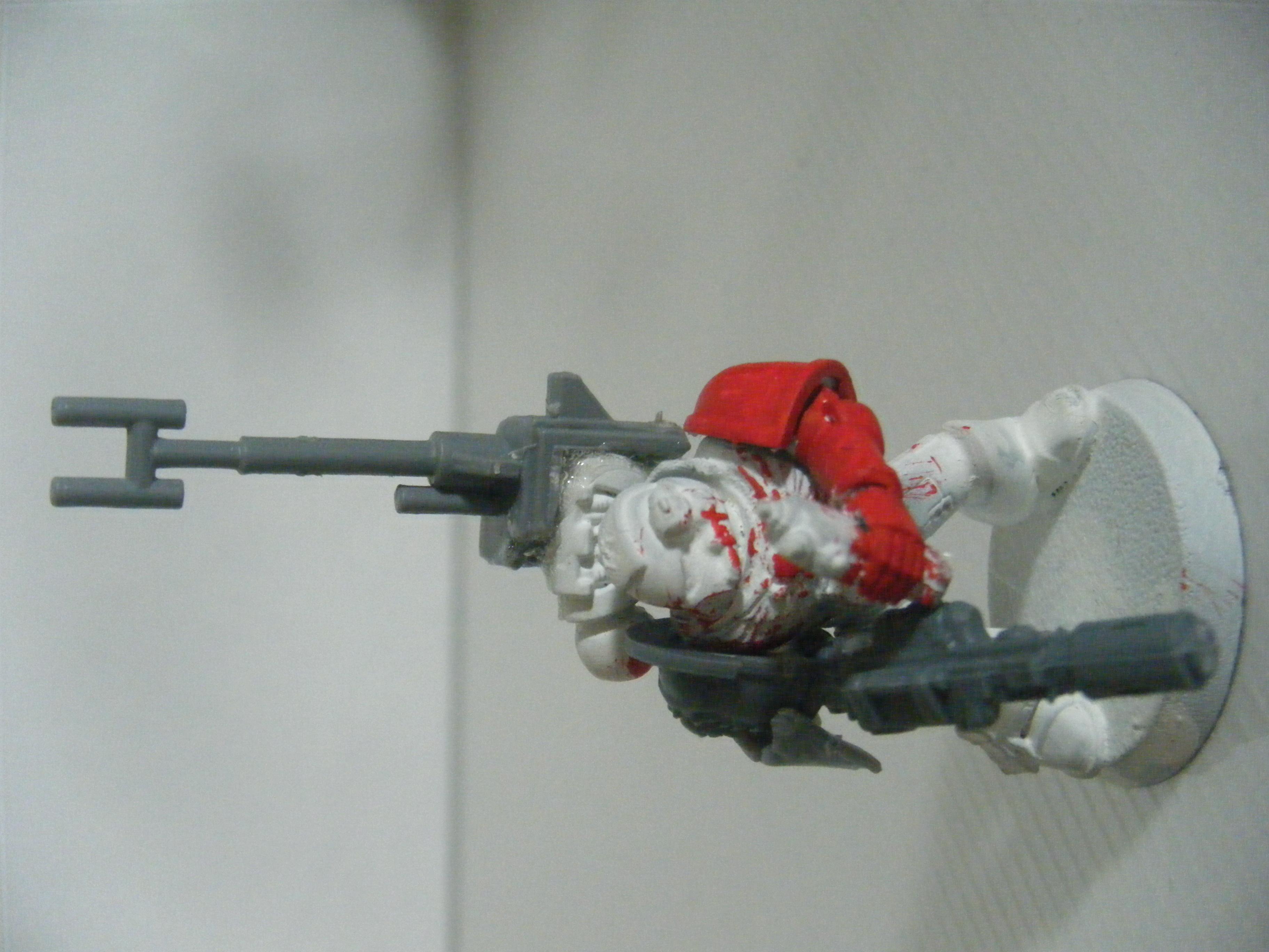 Salamander, Sternguard