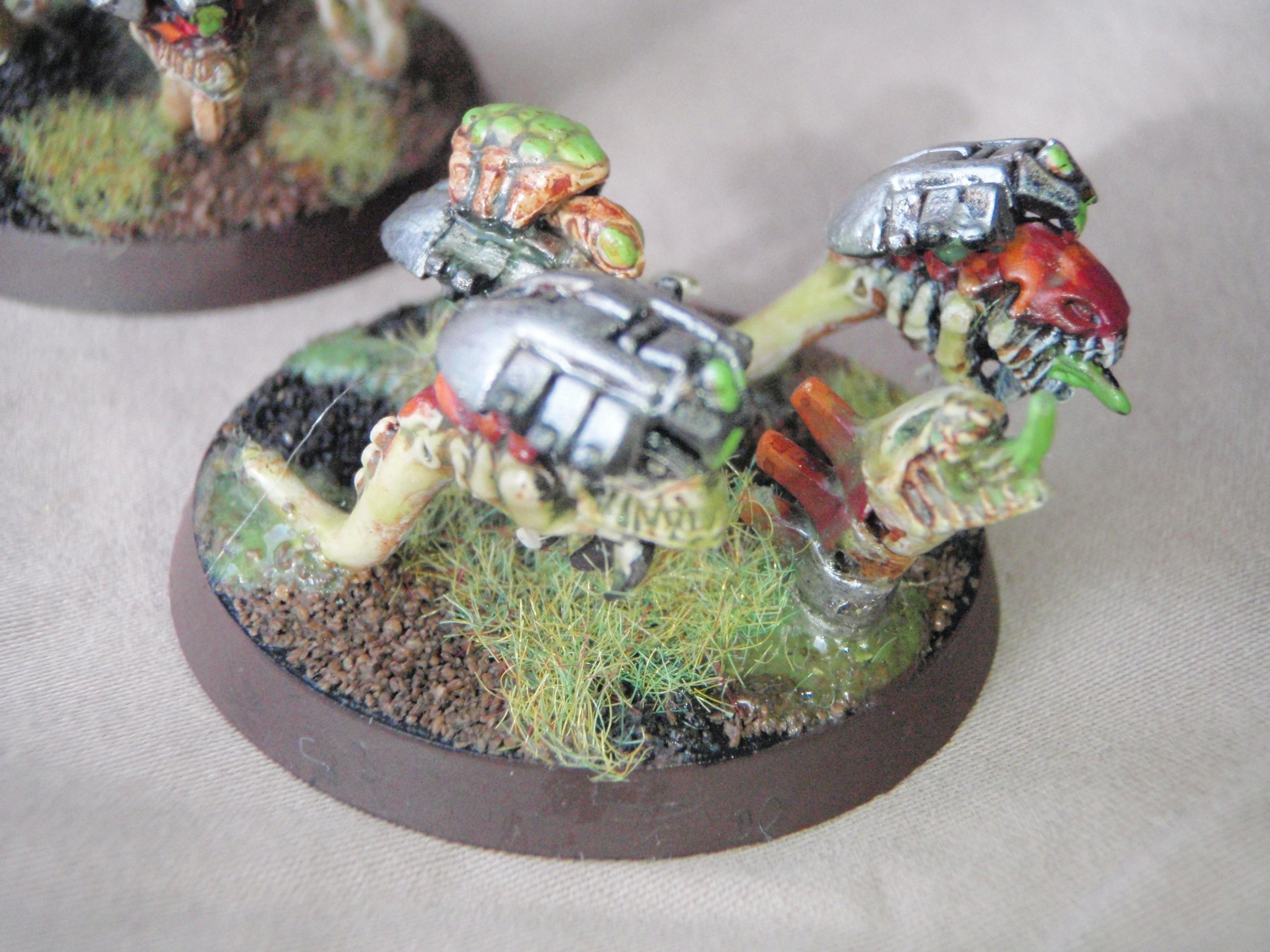 rippers close up