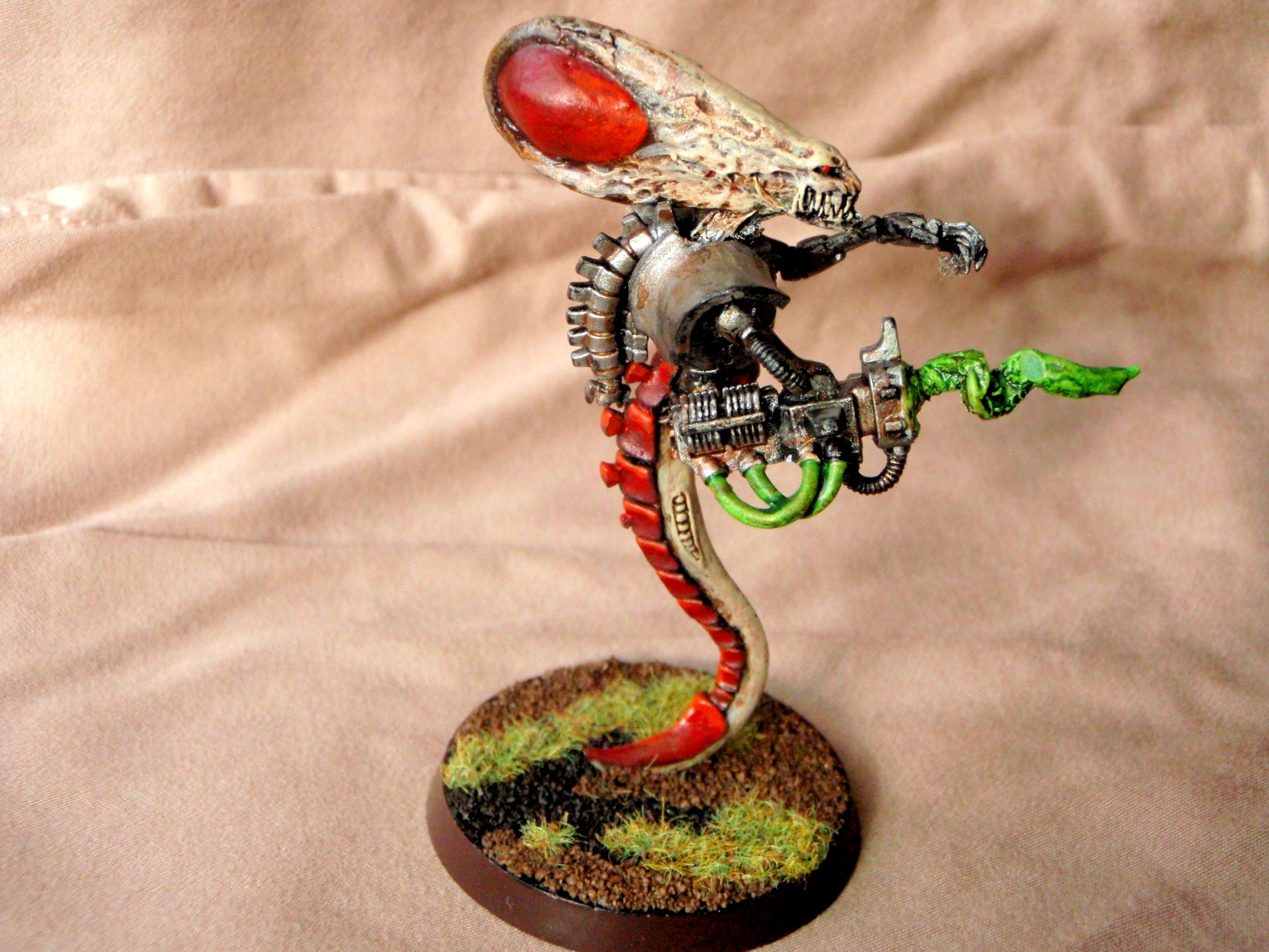 Zoantrope