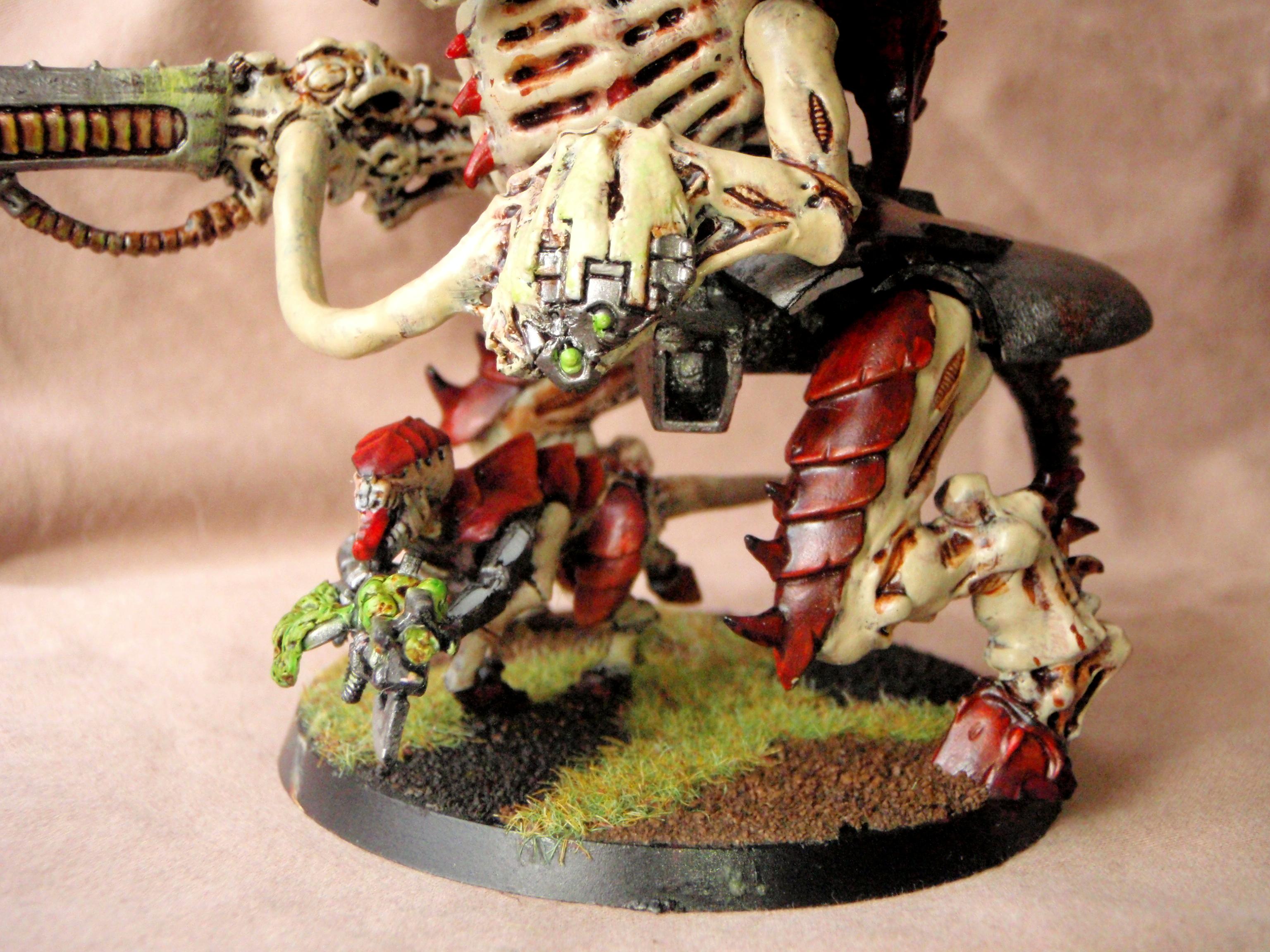 close up of carnifex legs etc