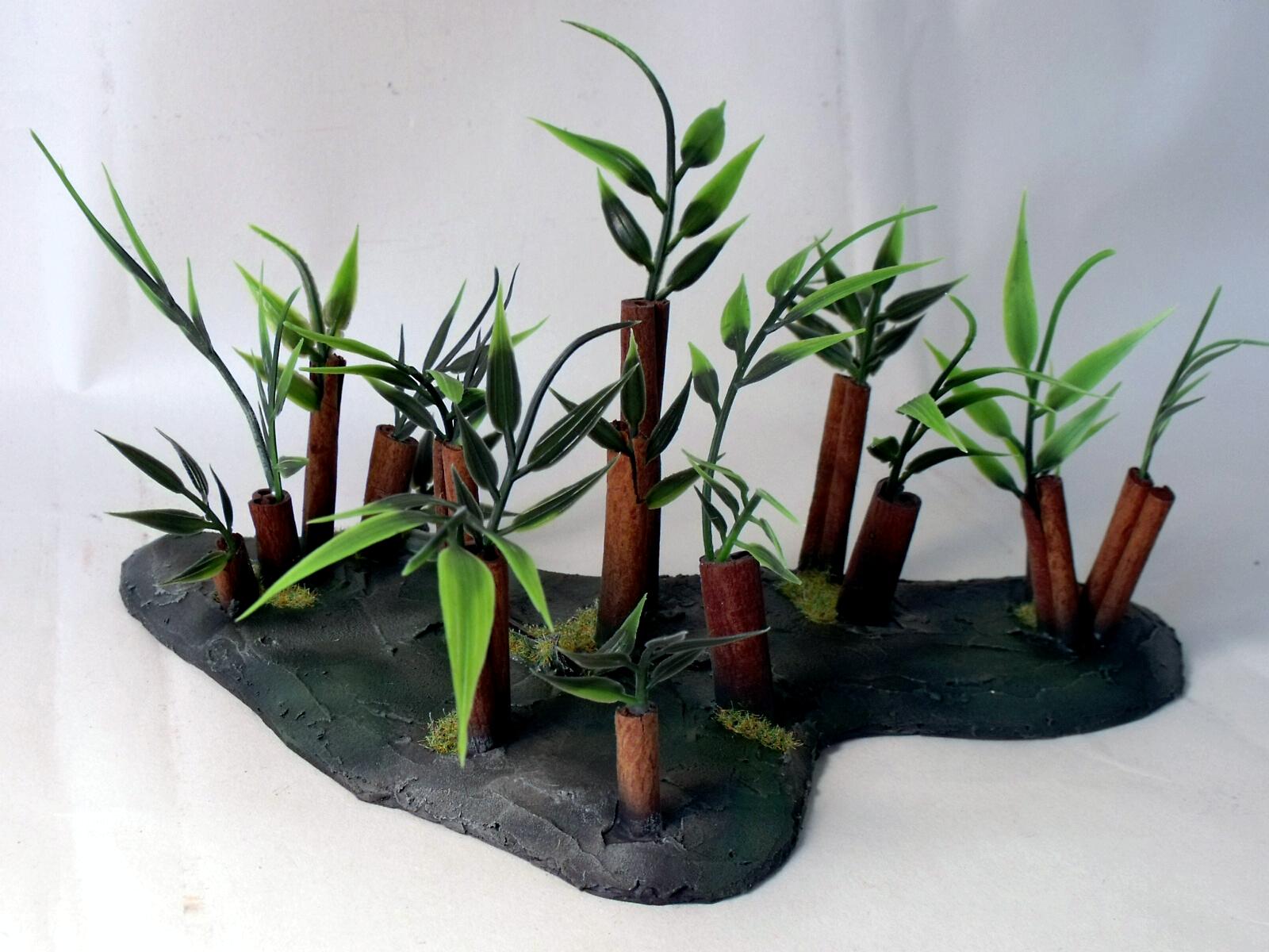 Forest, Terrain, Exotic Forest