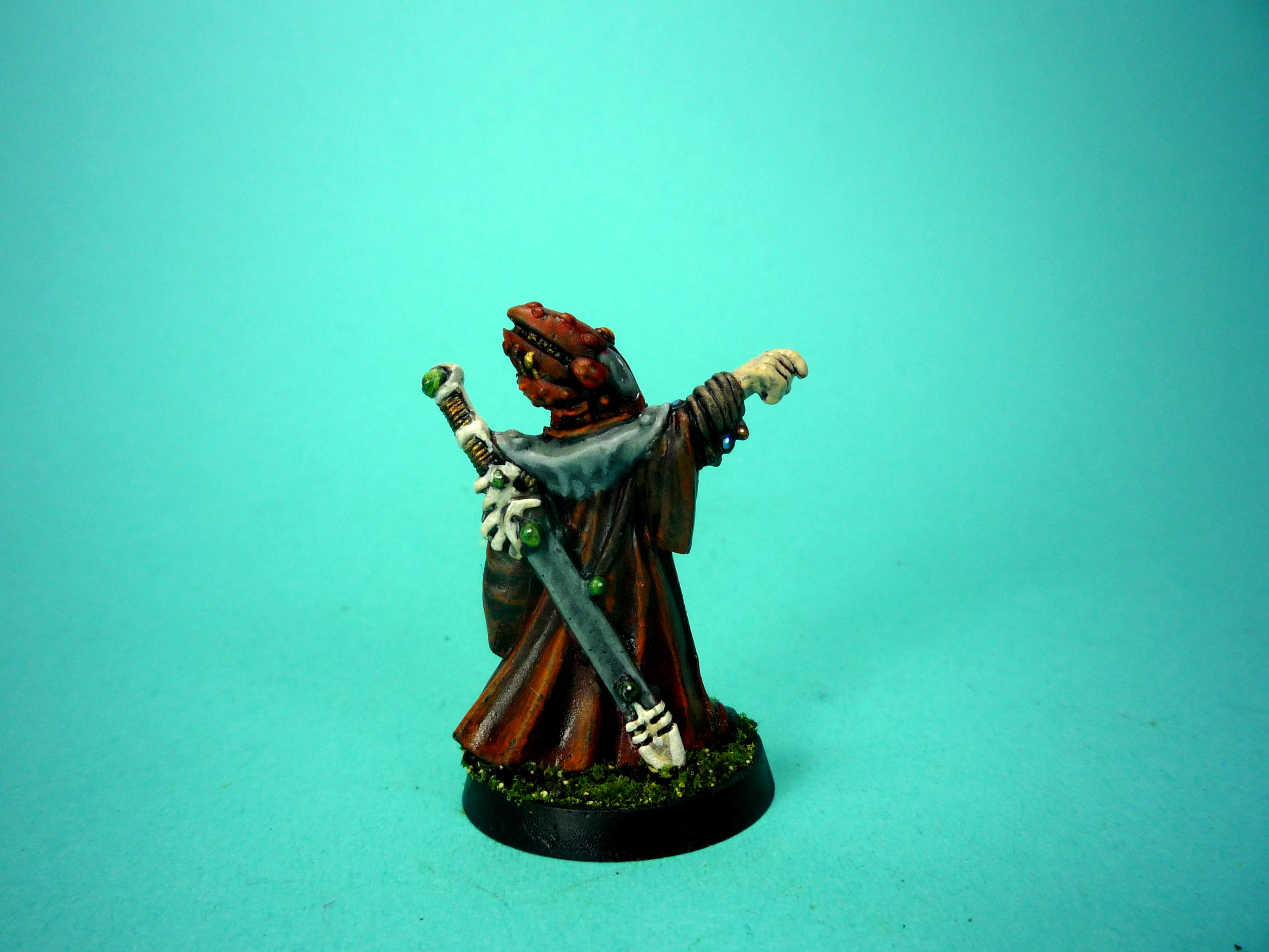 Eldar, Farseer, Eldar Farseer