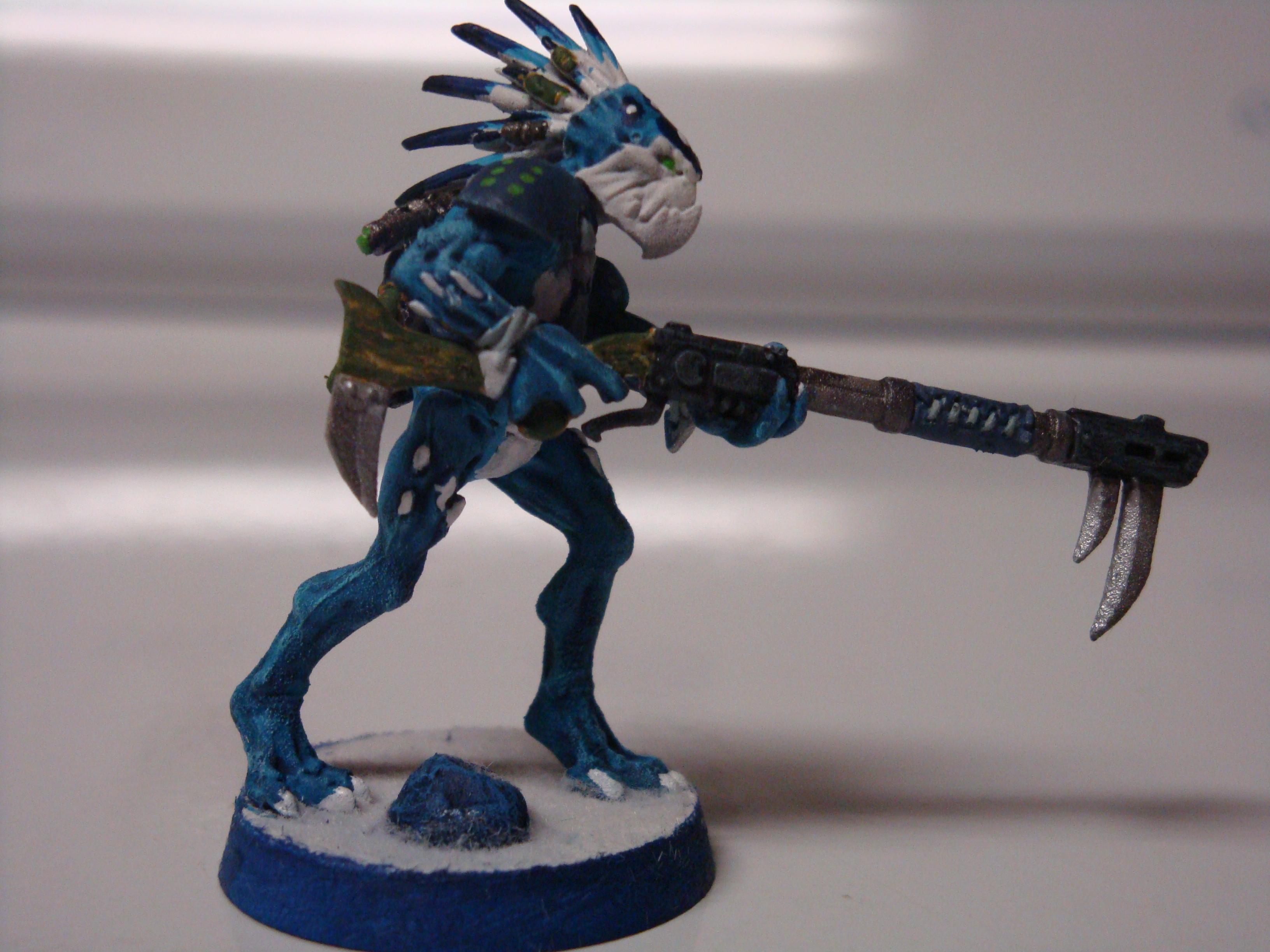 Kroot, Tau, kroot2-1