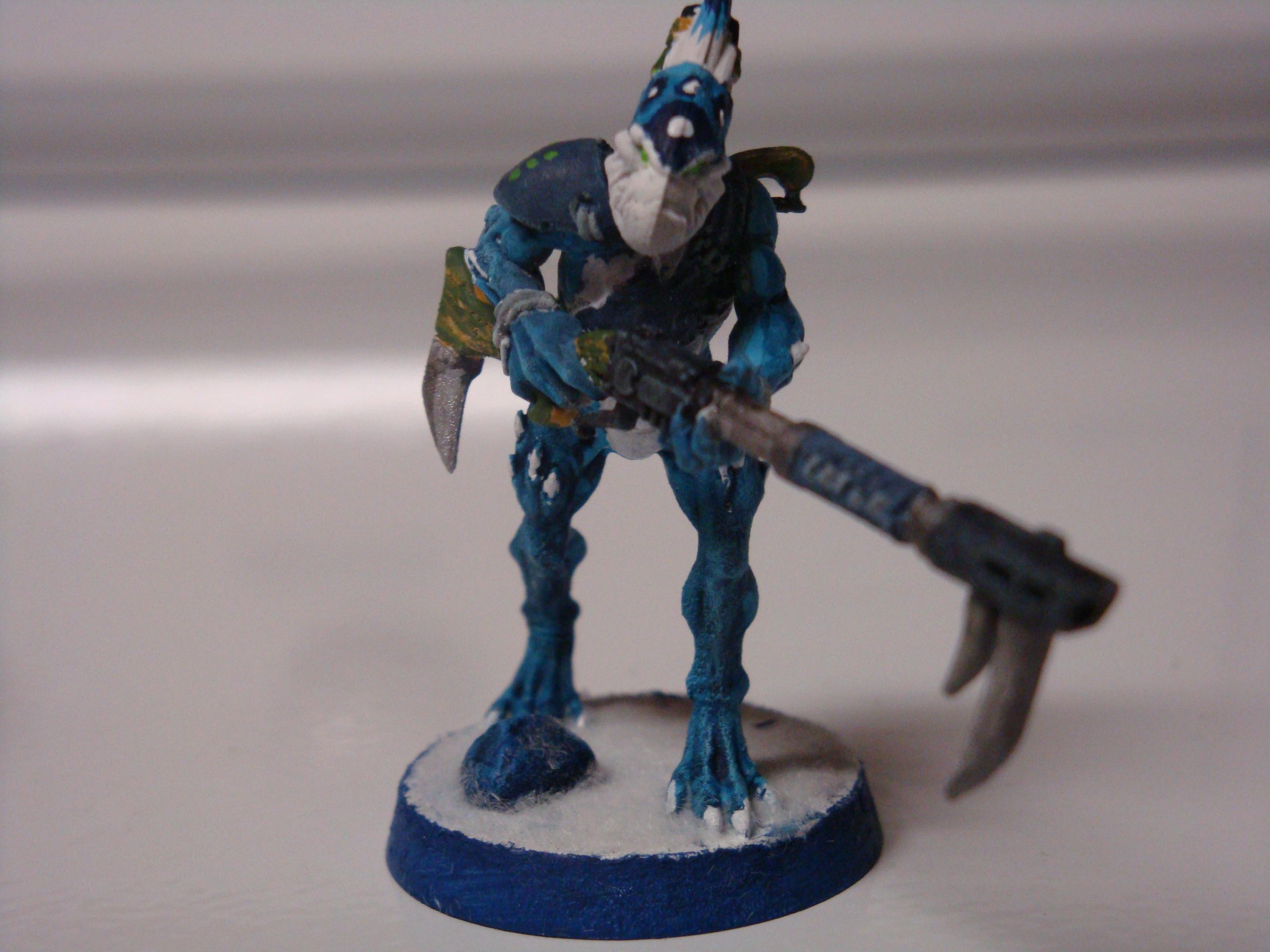 Kroot, Tau, kroot2-4