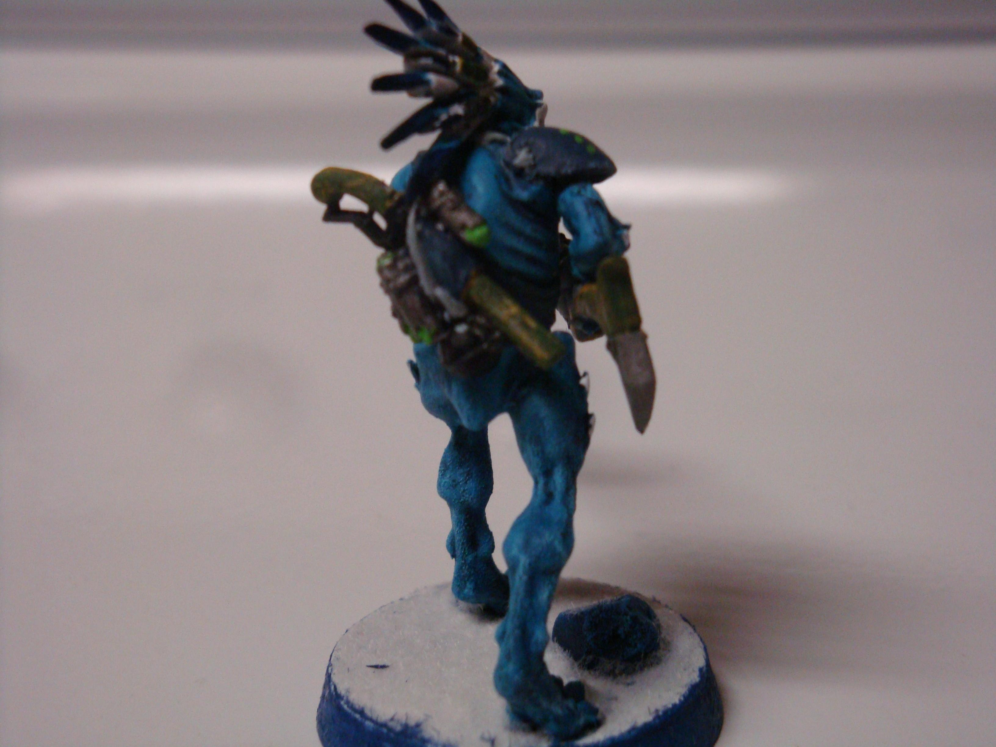 kroot2-6
