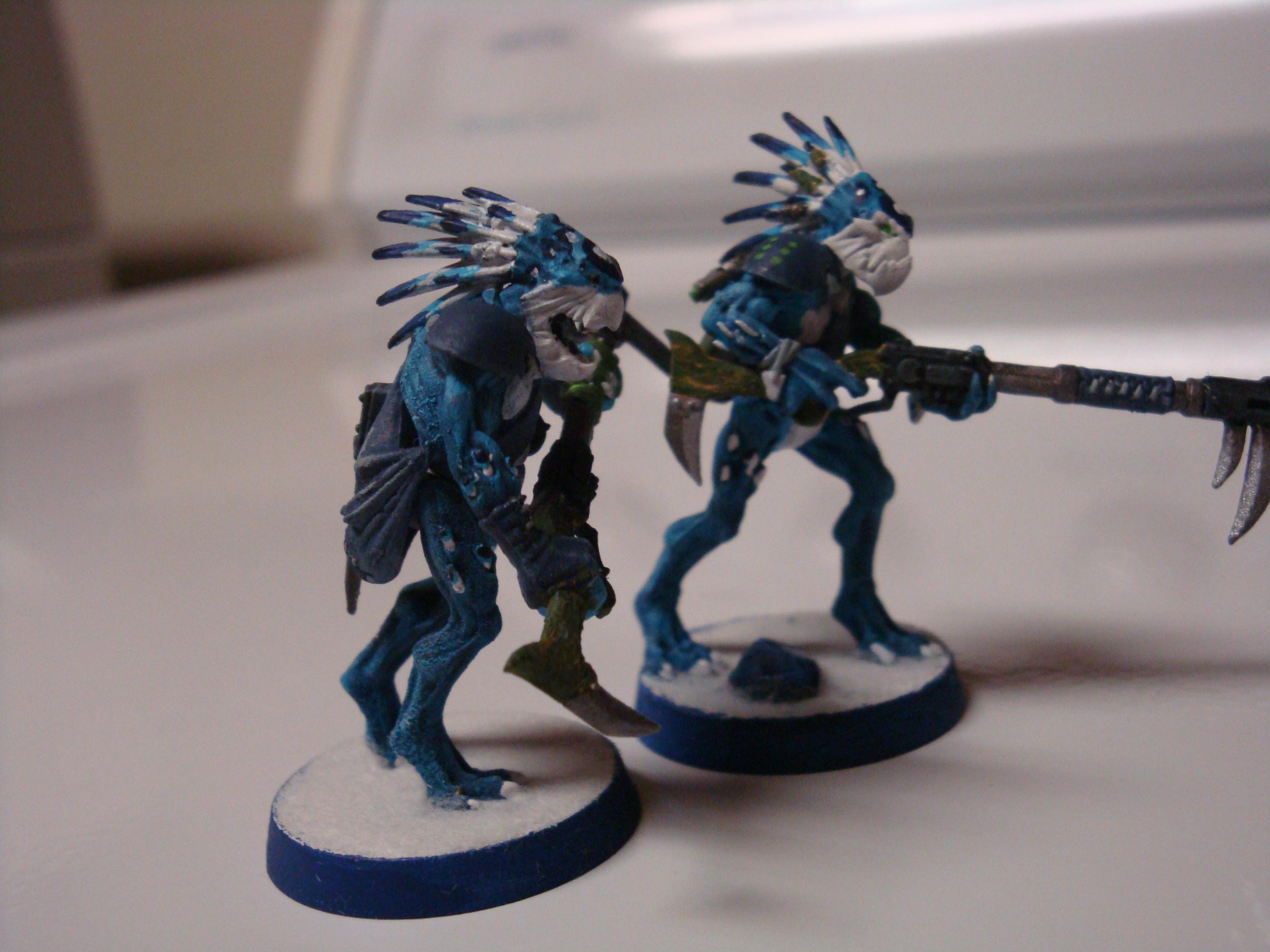 Kroot, Tau, kroot2-8