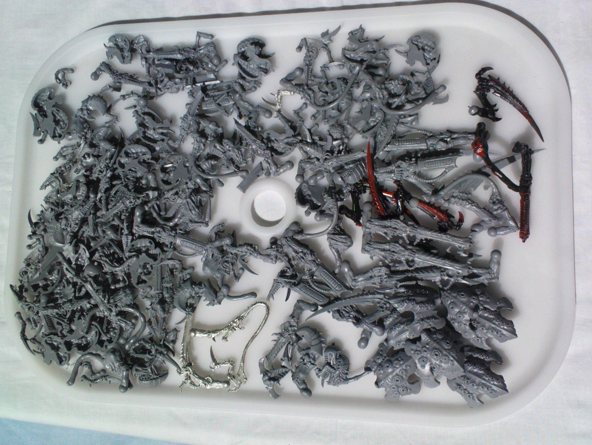 Tyranid bits