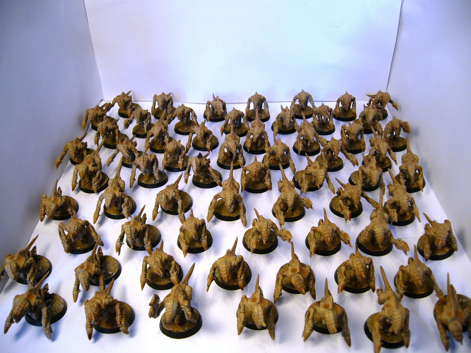 Gaunts, Tyranids, lots of gaunts