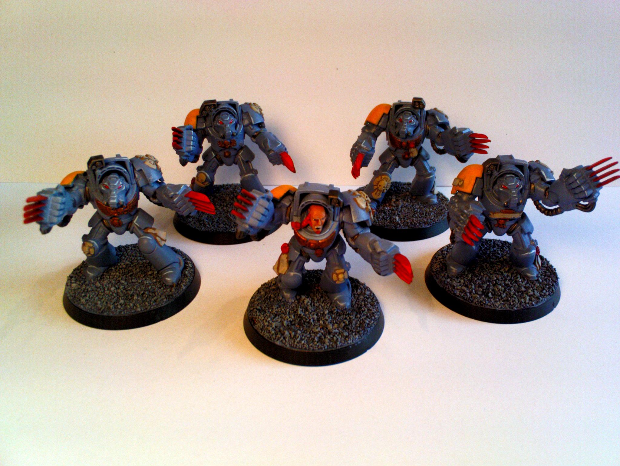 Space Wolves, Space Wolves Terminators