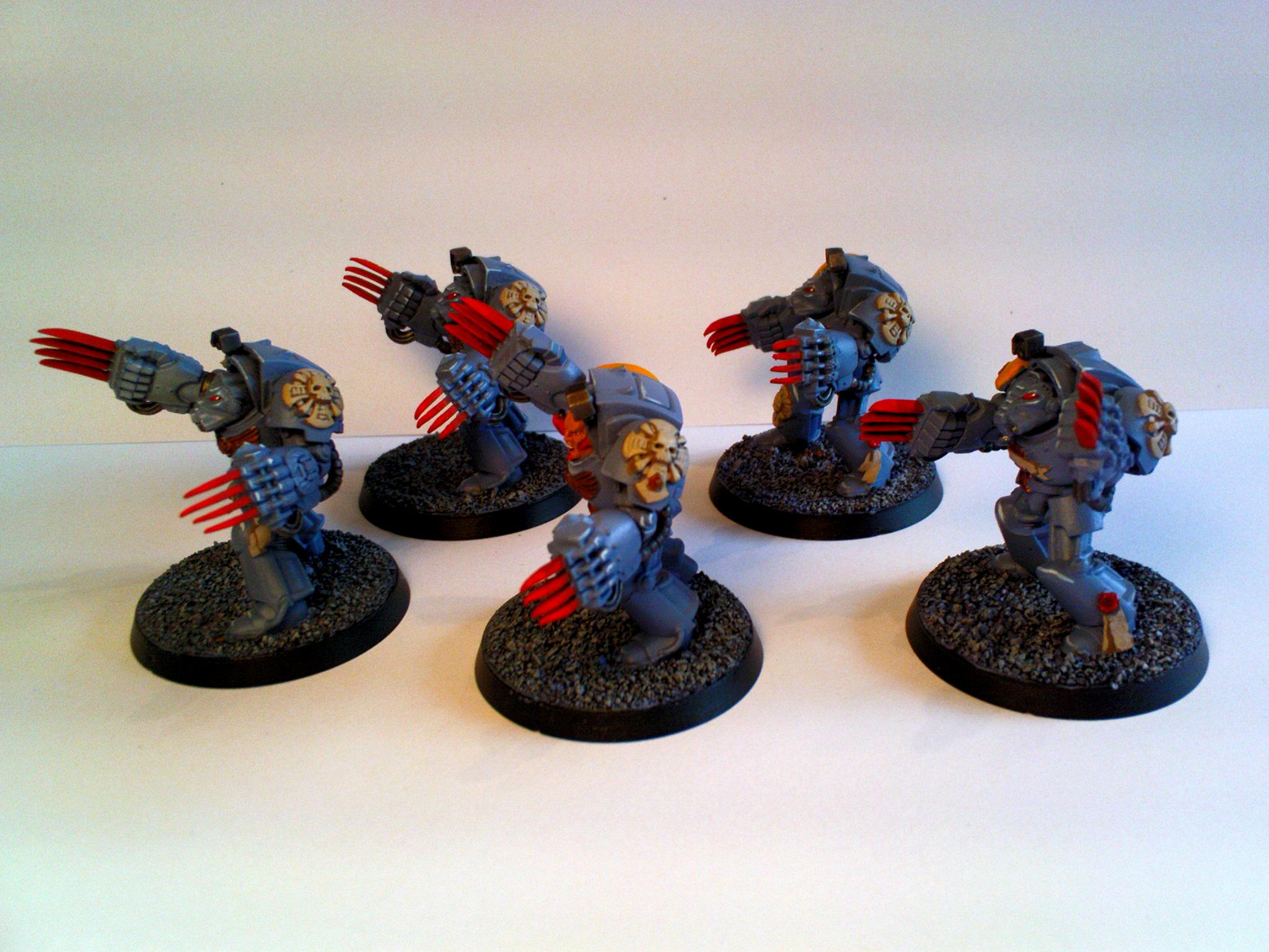 Space Wolves, Space Wolves Terminators (side)