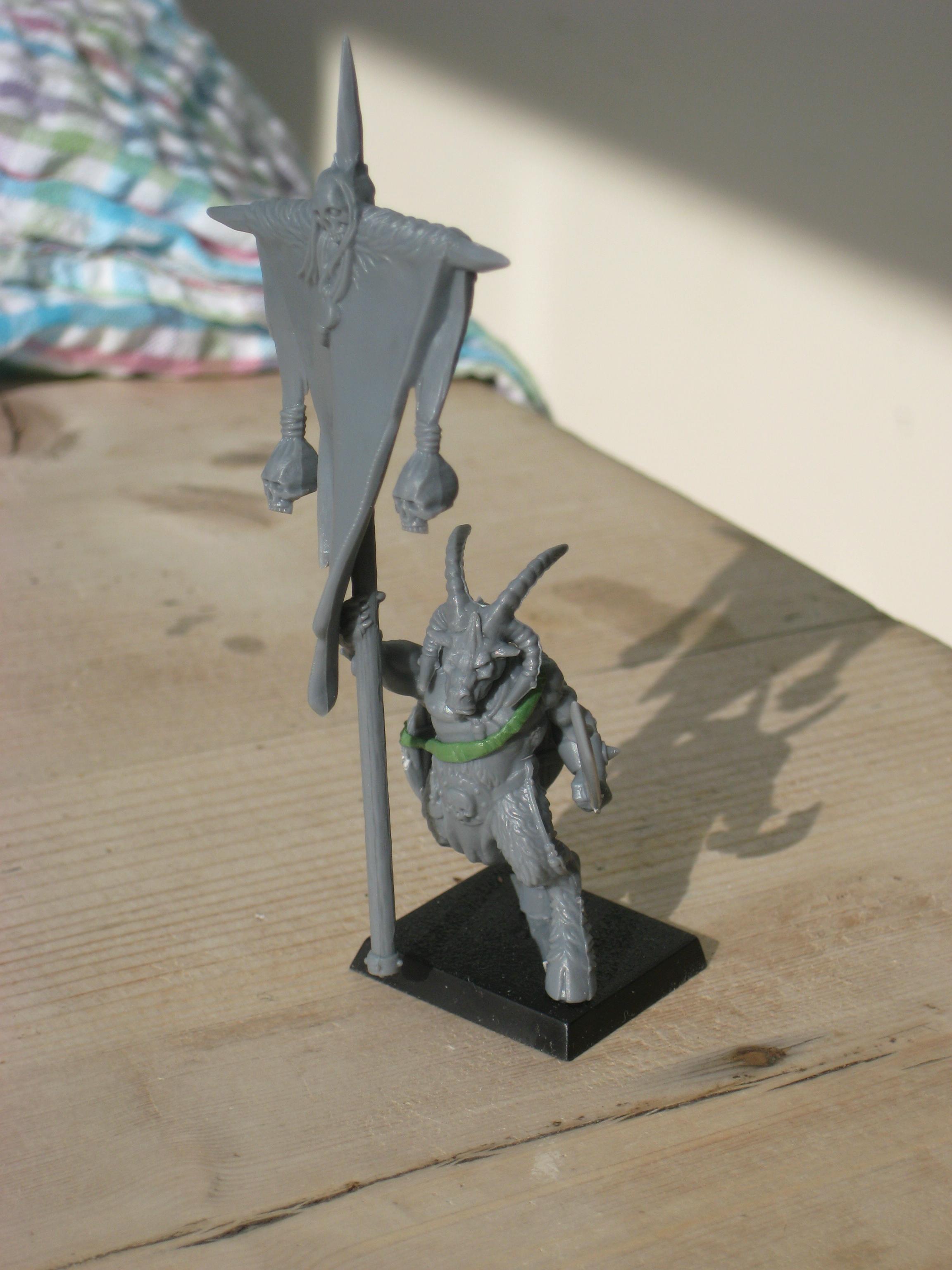 My standard Bearer