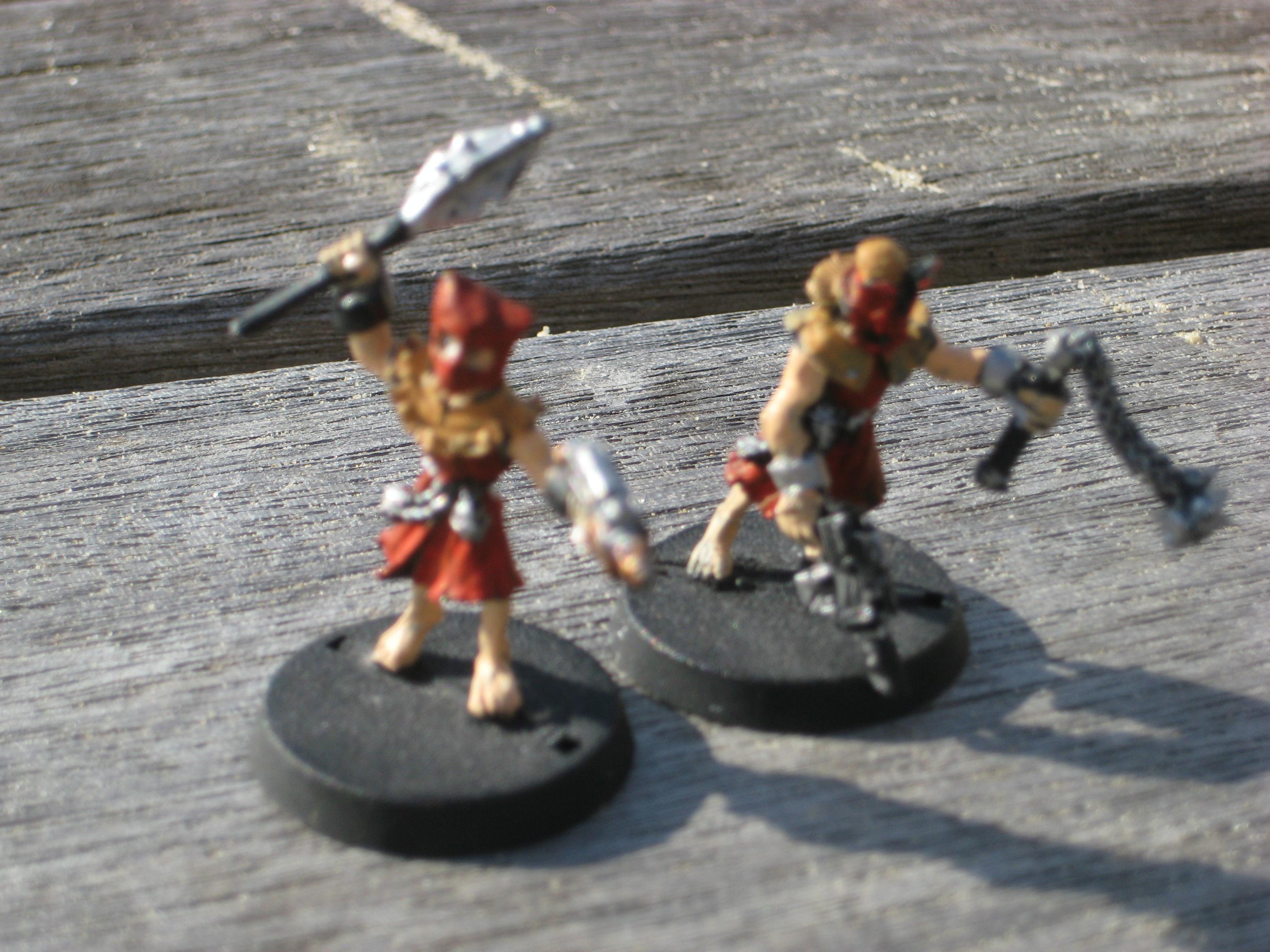 Devotees. sorry for bad photo, forgot about macro!