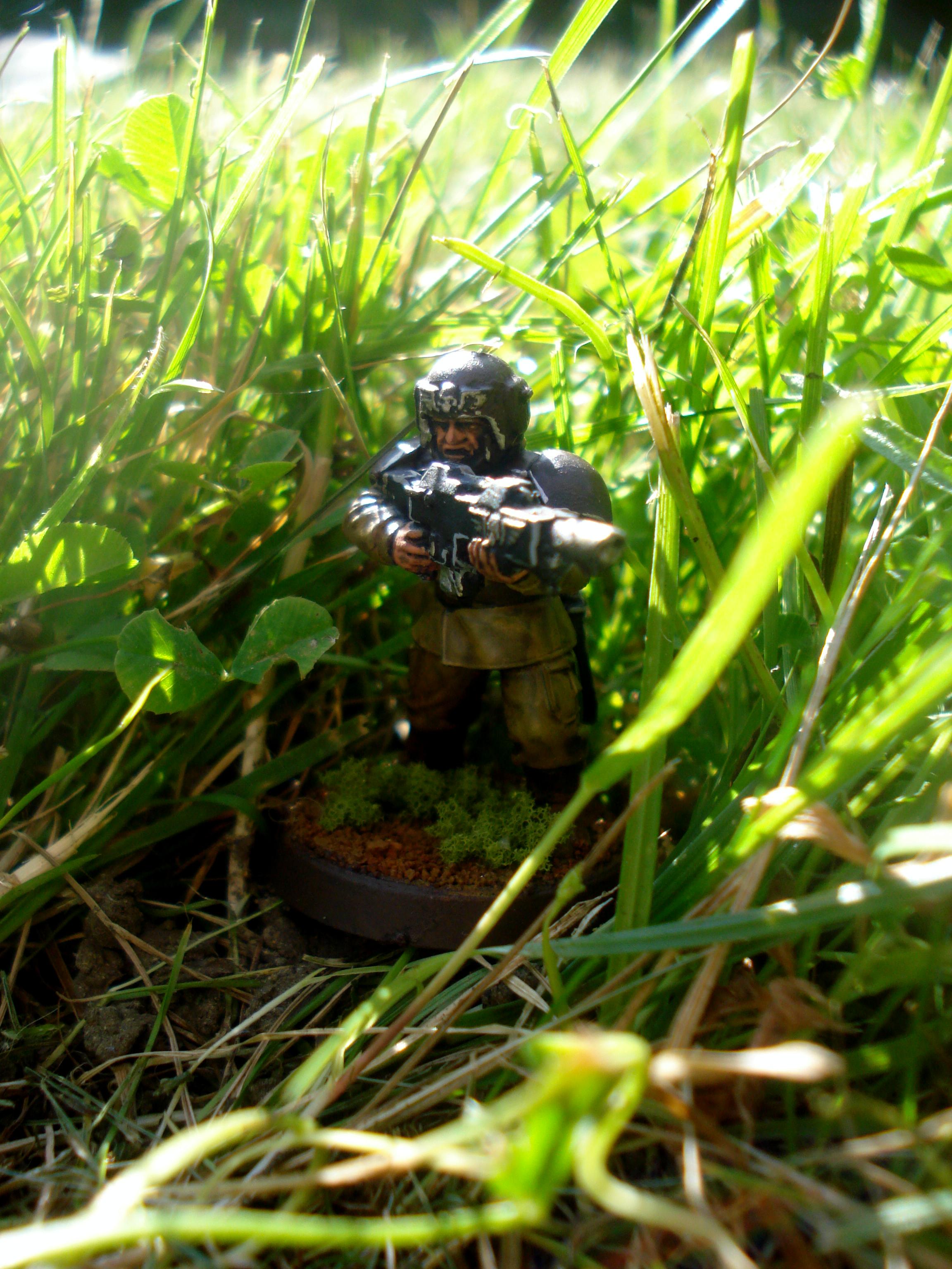 Hiding in the grass