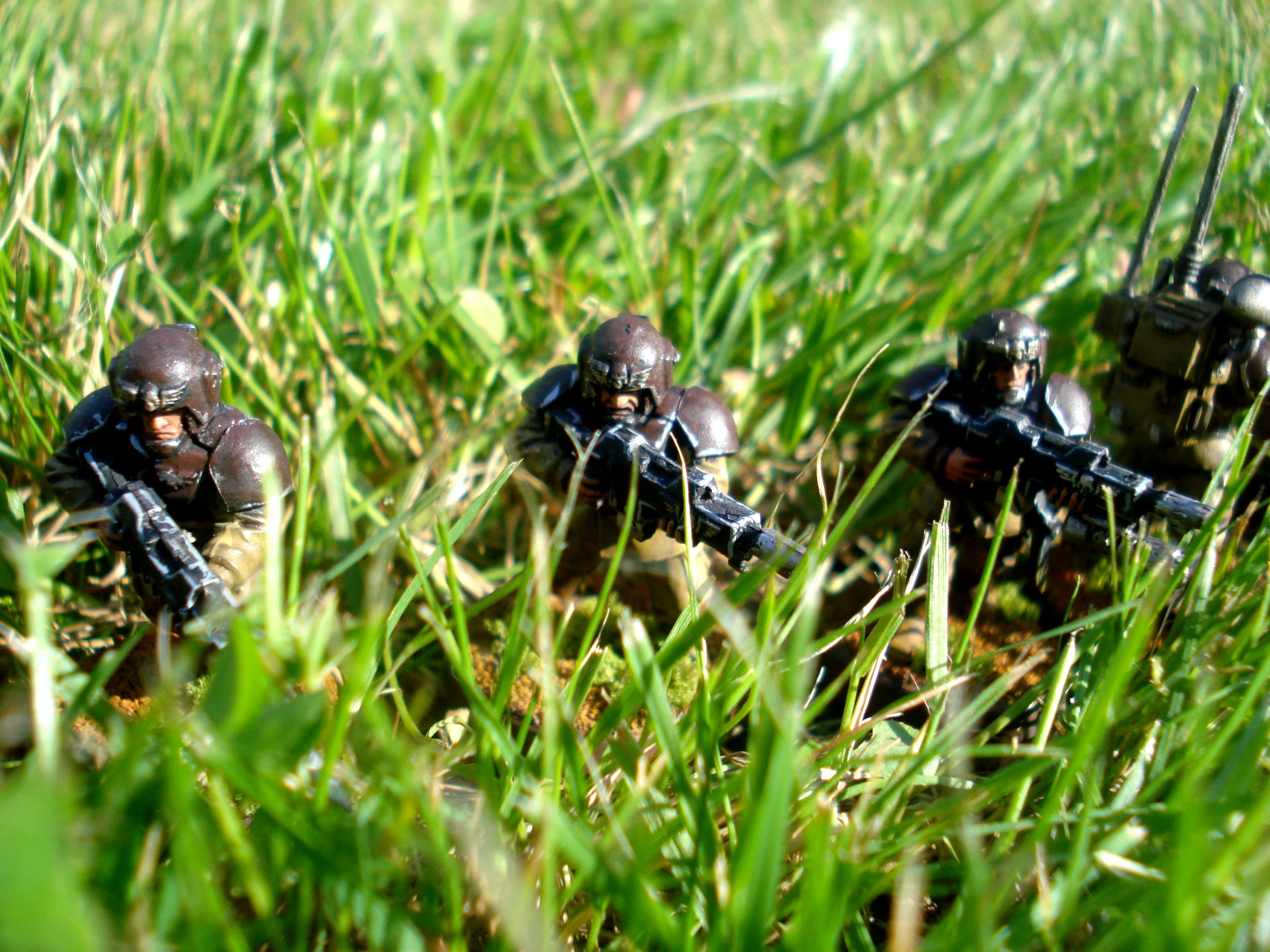 Shooting into the undergrowth