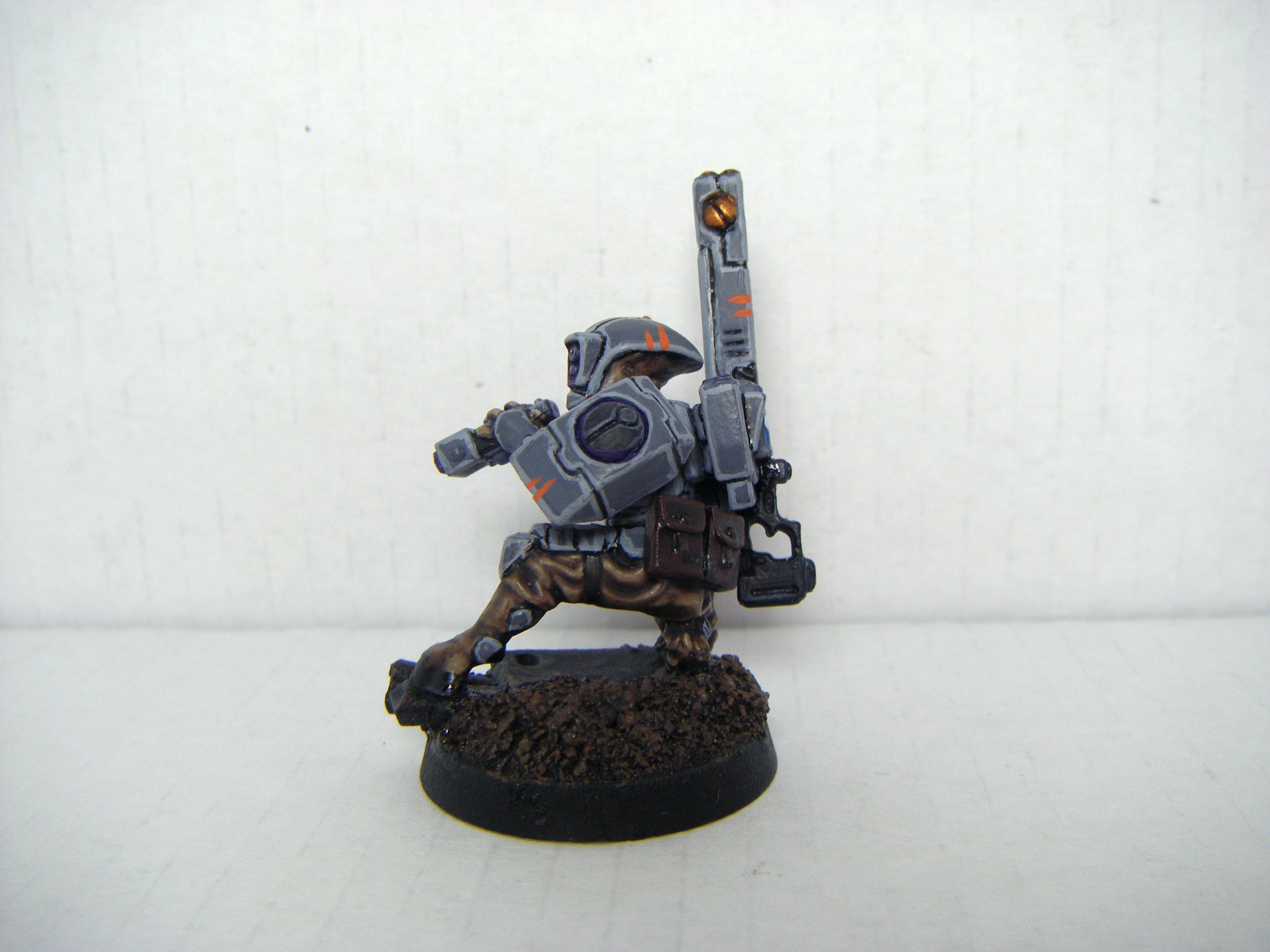 Fire Warriors, Shas'La Shovah'Ka