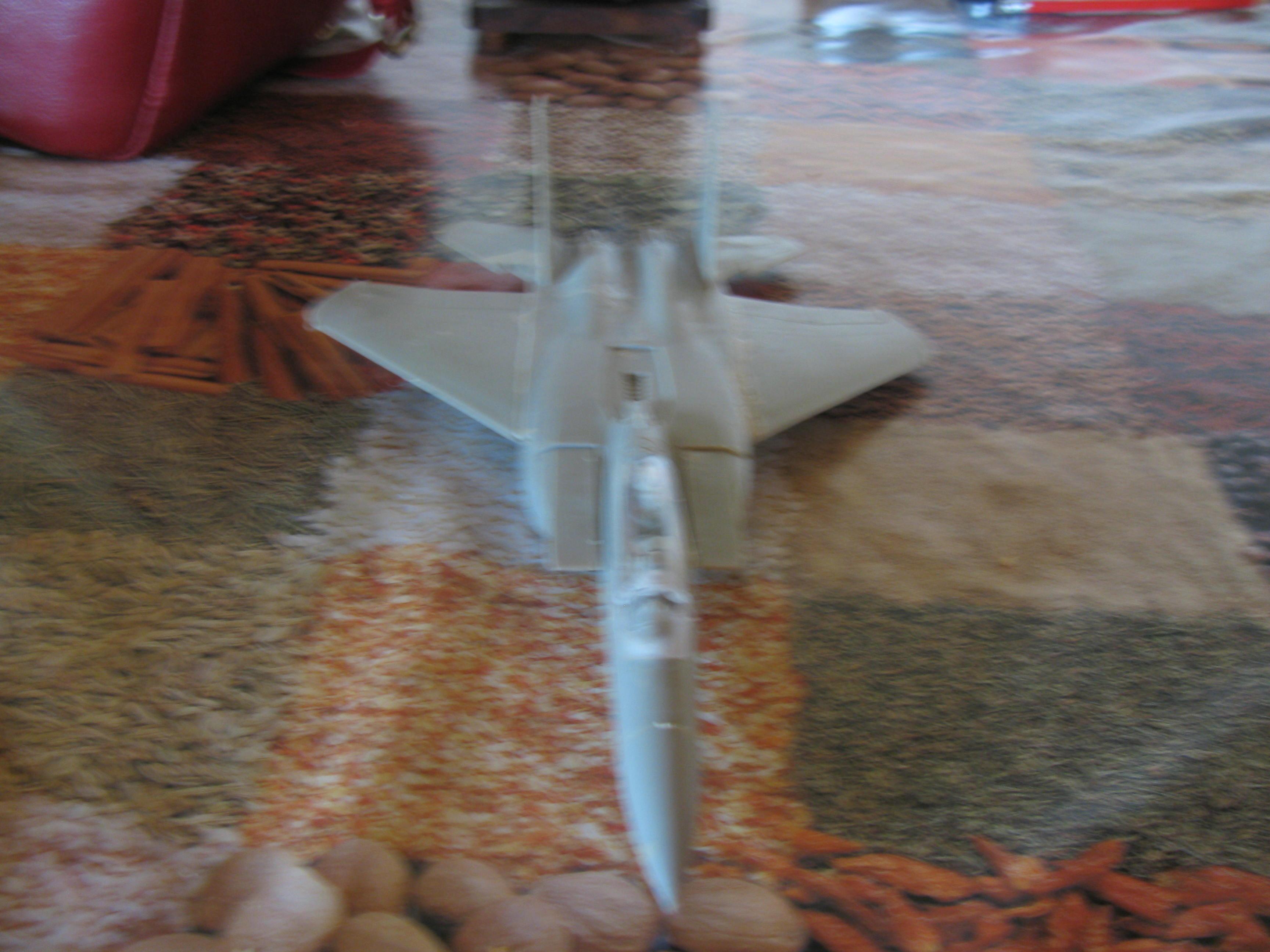 the plane