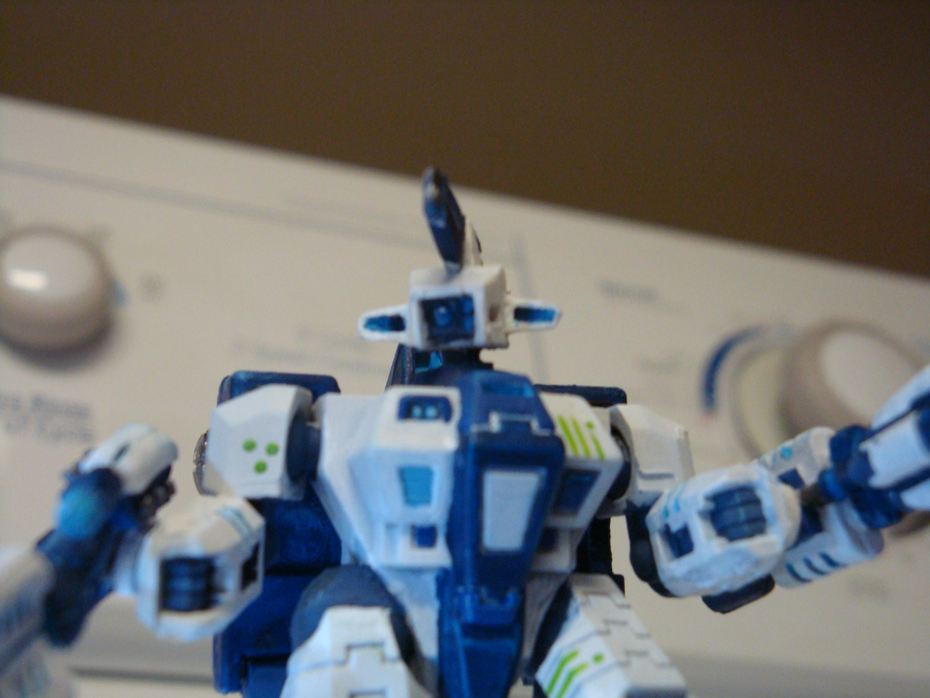 Tau, shasel8