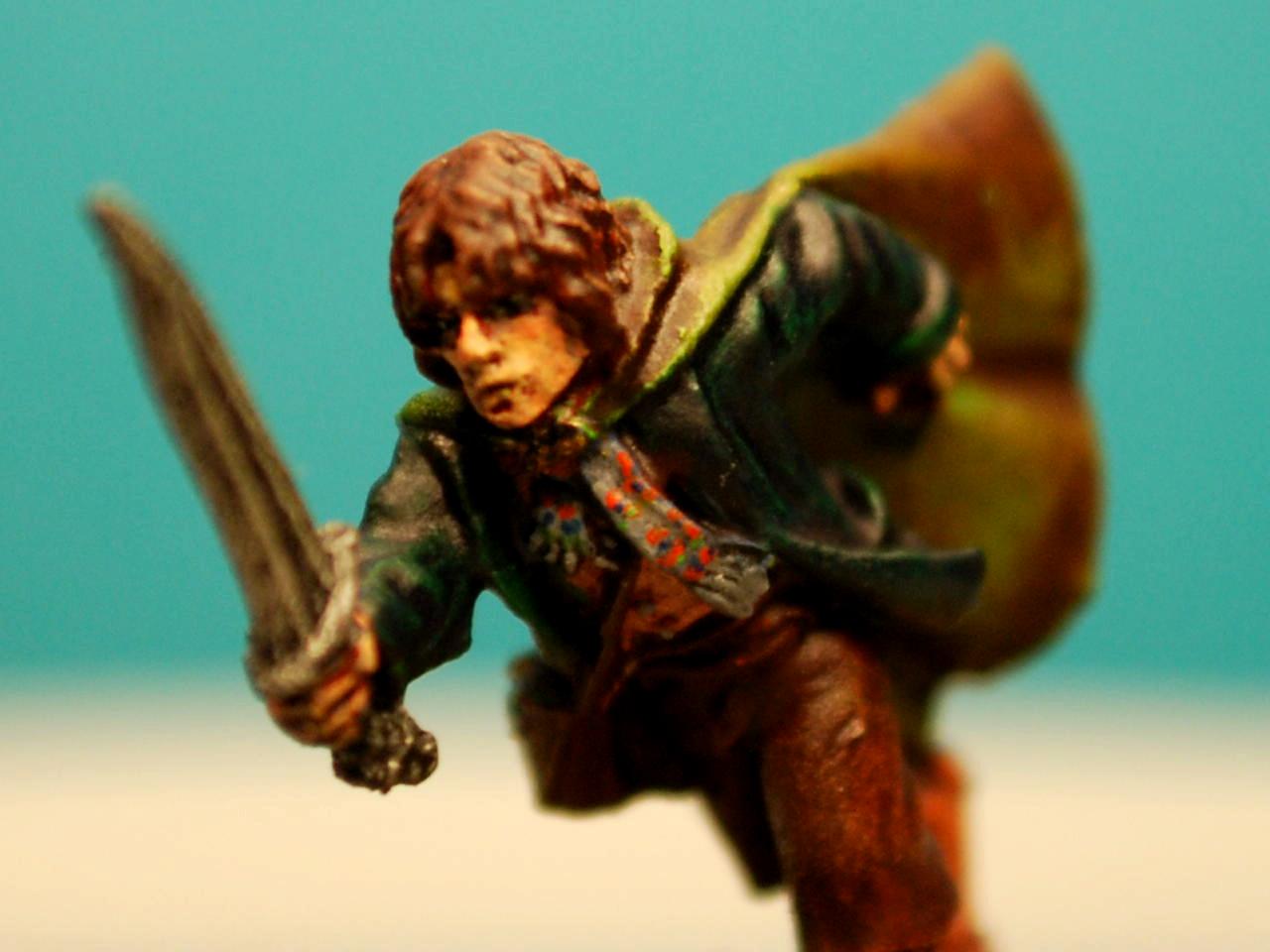 Fellowship, Hobbits, Lord Of The Rings, Pippin