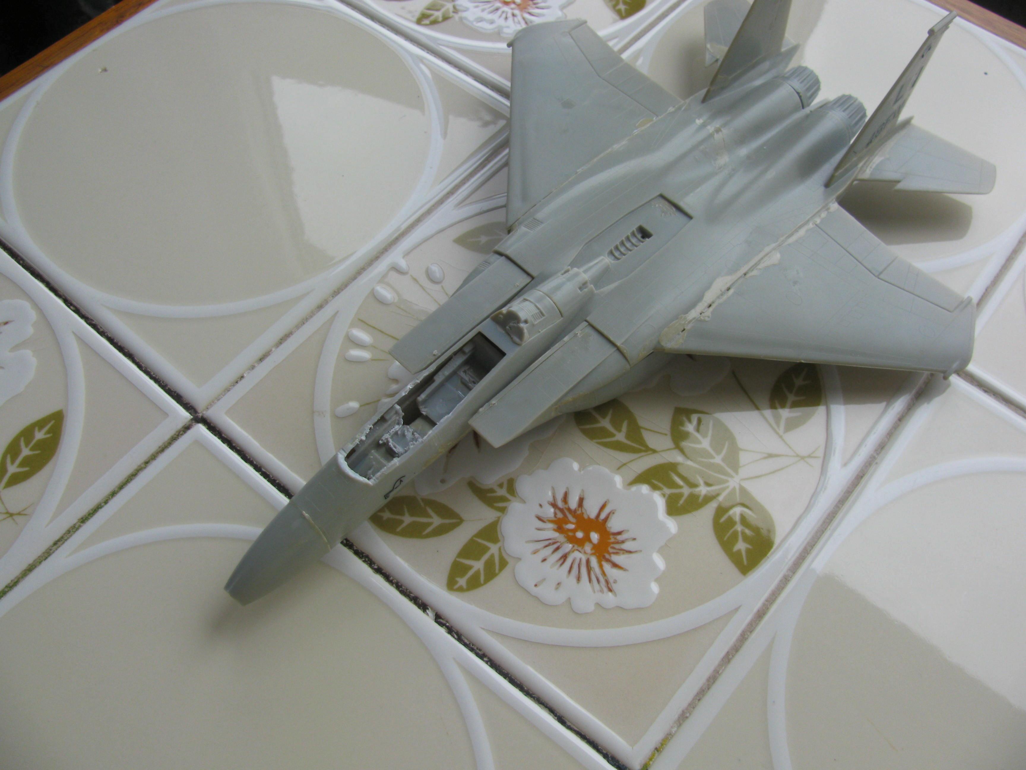 the stripped down plane