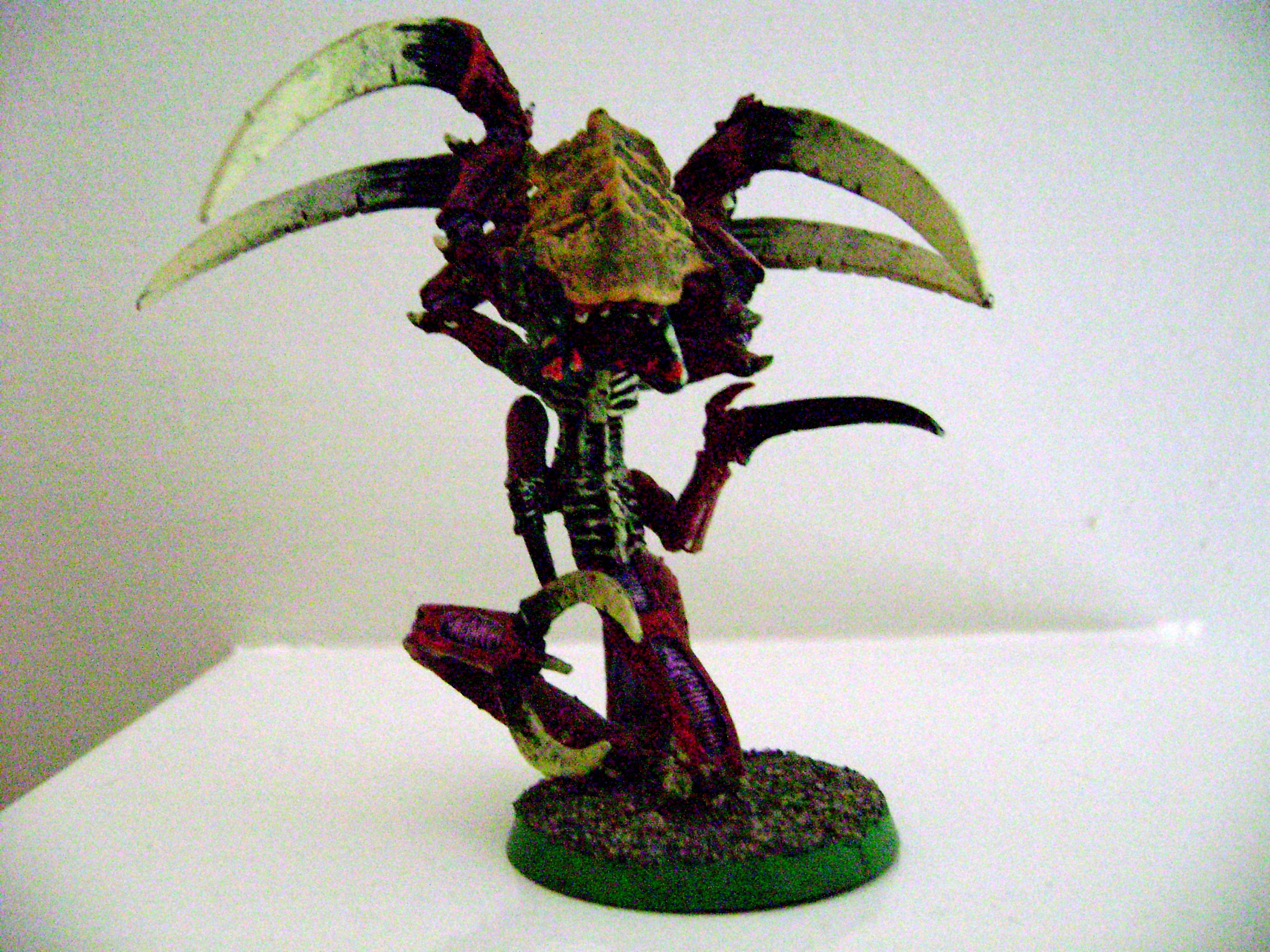 Red Terror, Tyranids