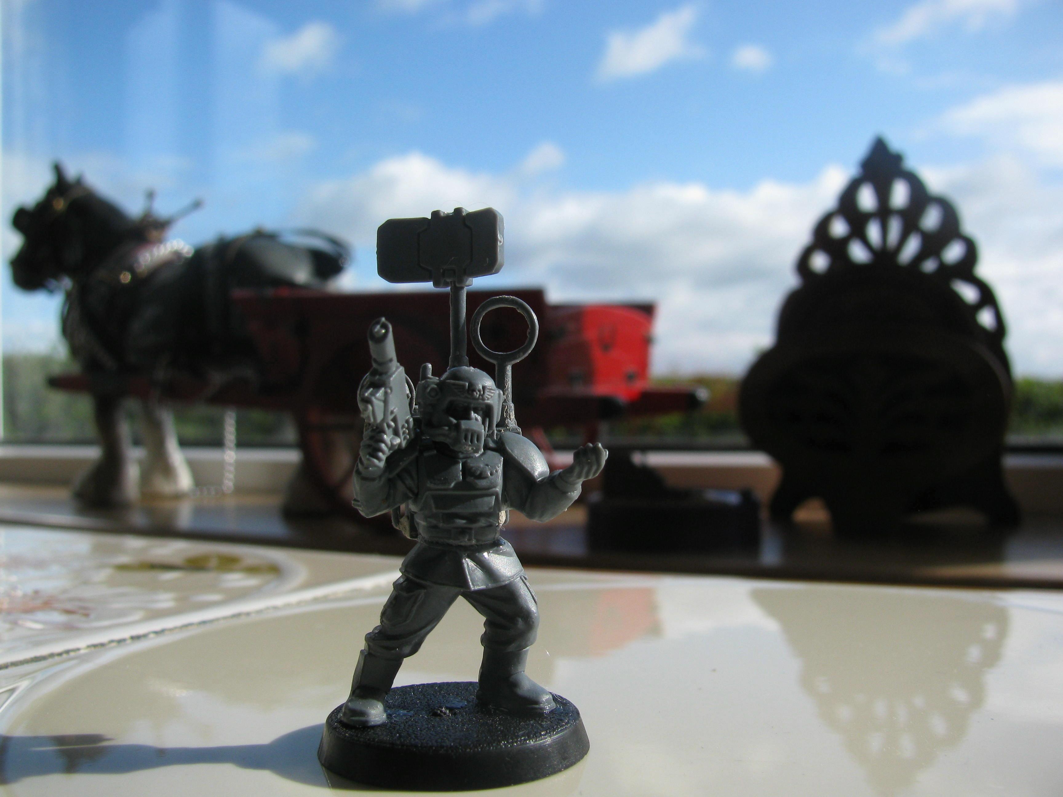and the pilot