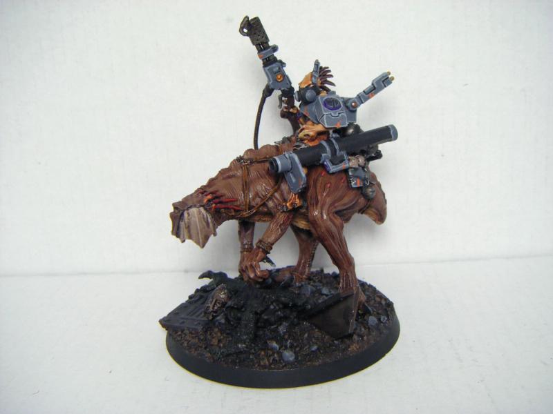 kroot - JungleKey.fr Image #250