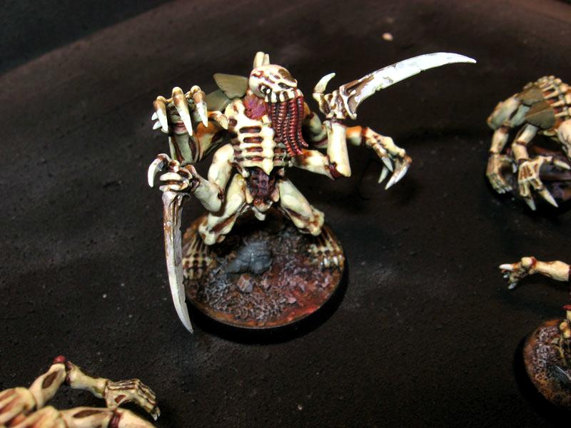 Tyranids, broodlord