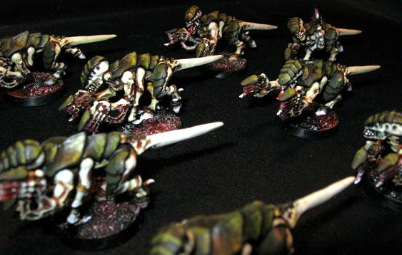 Termagants, Tyranids