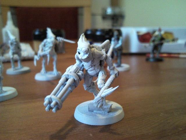 Kroot modified by his tau friends