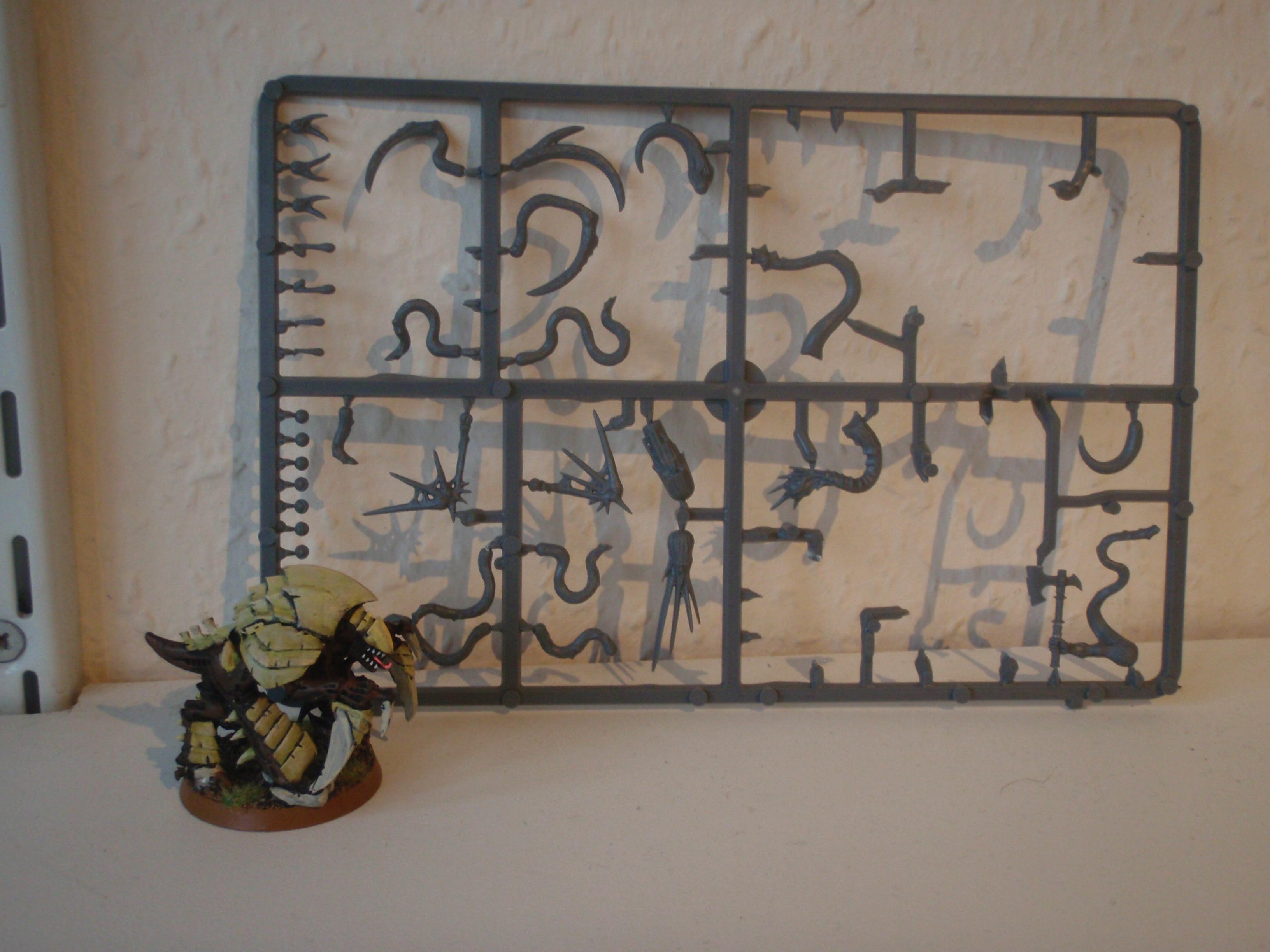 Chaos Spawn, Tyranids
