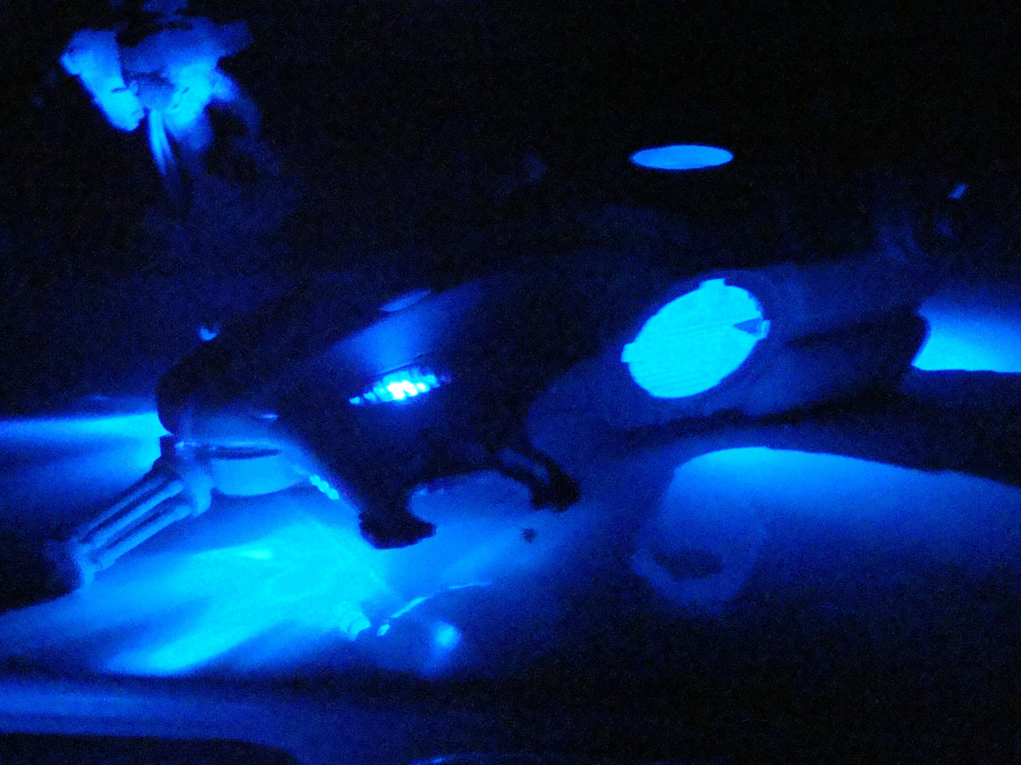 LED, anglerfish angled