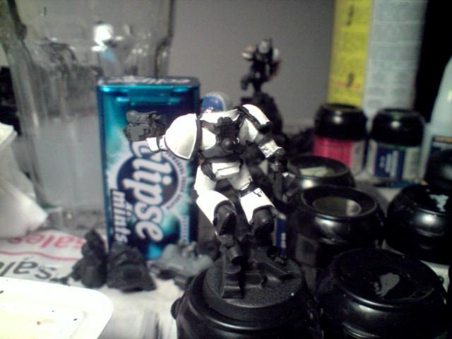 natiel wip back