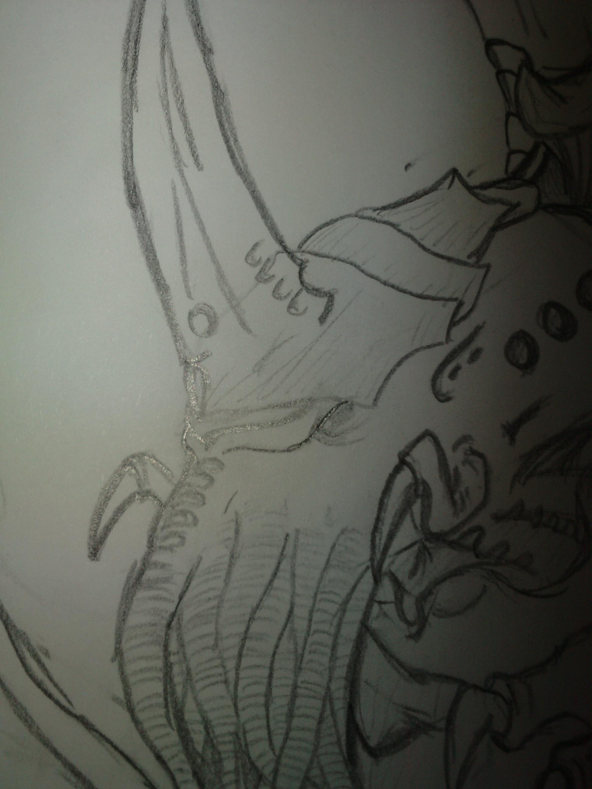 the head