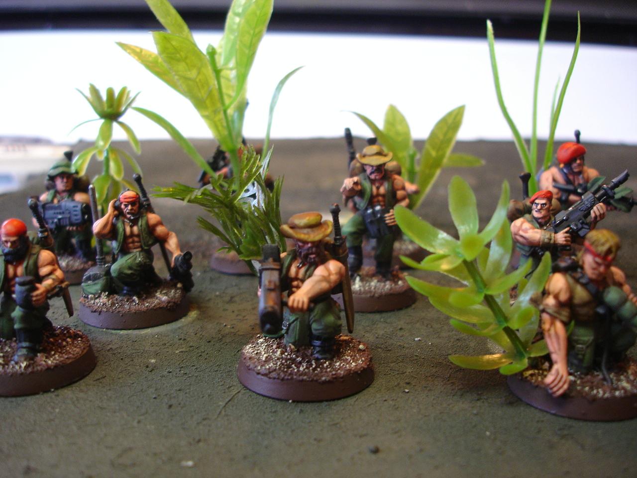 Air Assault, Catachan, Imperial Guard, Jungle, Warhammer 40,000, Warhammer Fantasy