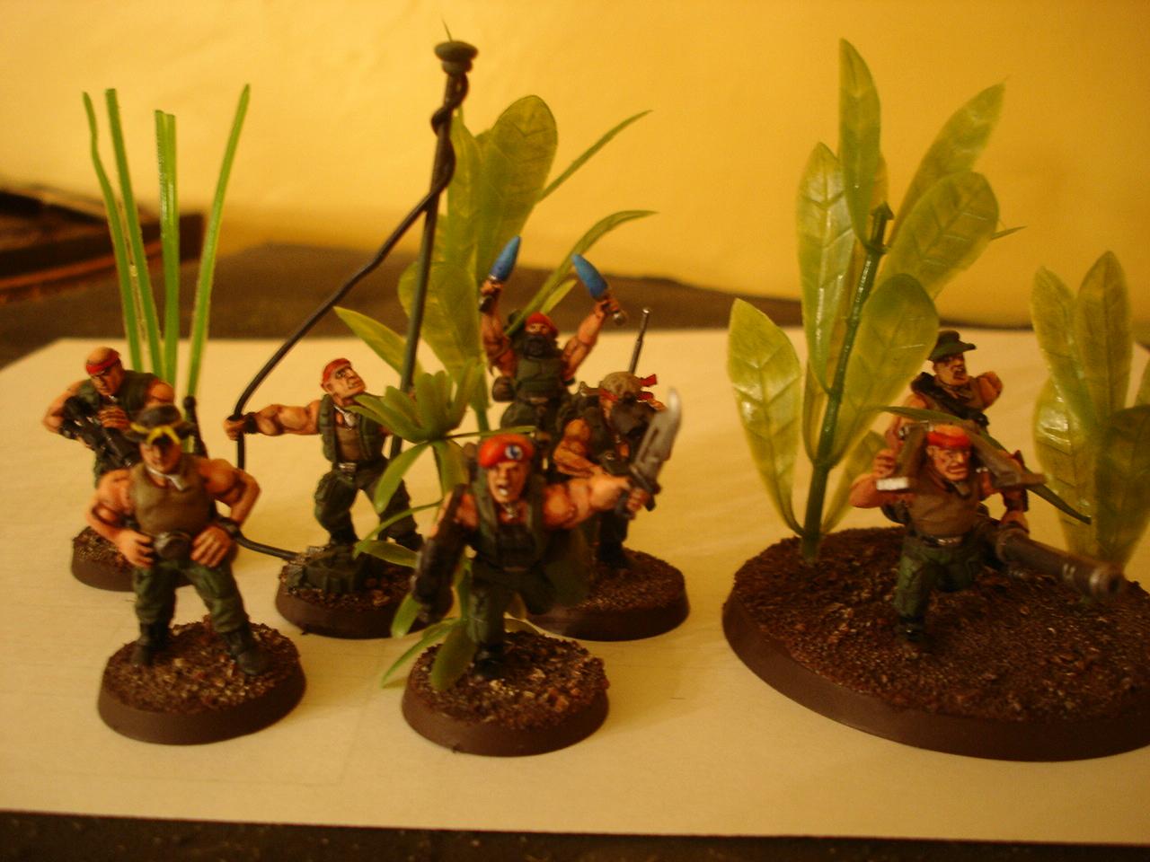 Air Assault, Catachan, Imperial Guard, Jungle, Warhammer 40,000, Warhammer Fantasy