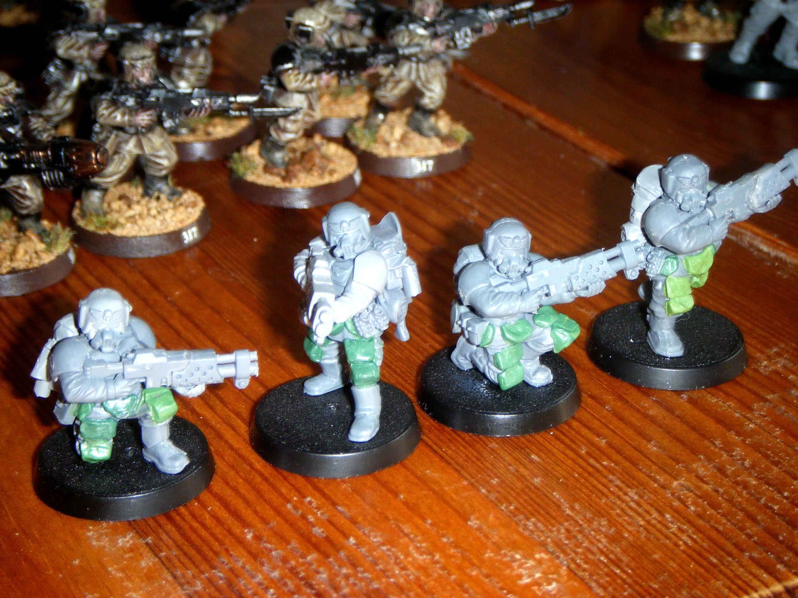 Imperial Guard, New Vets 3